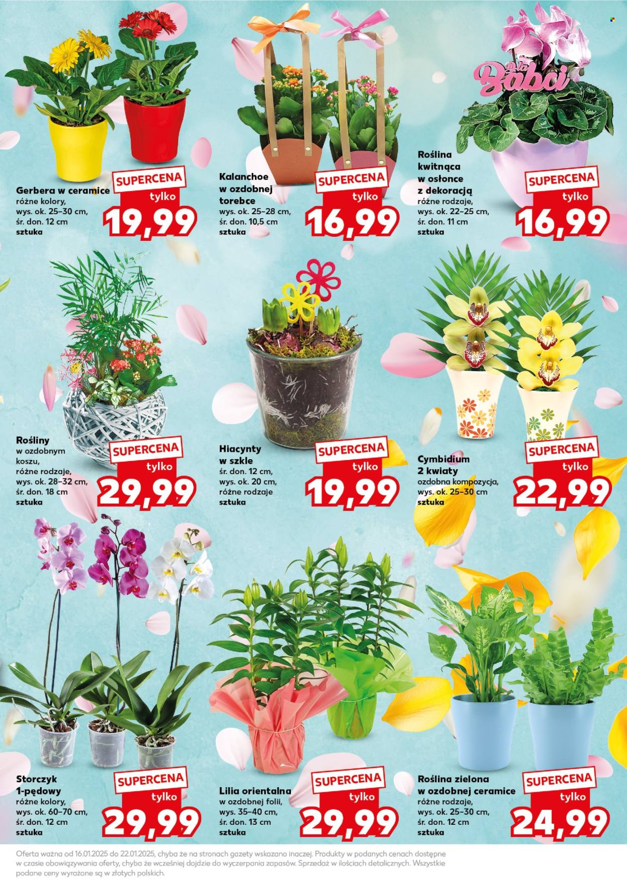 Gazetka Kaufland - 20.01.2025 - 22.01.2025. Strona 23