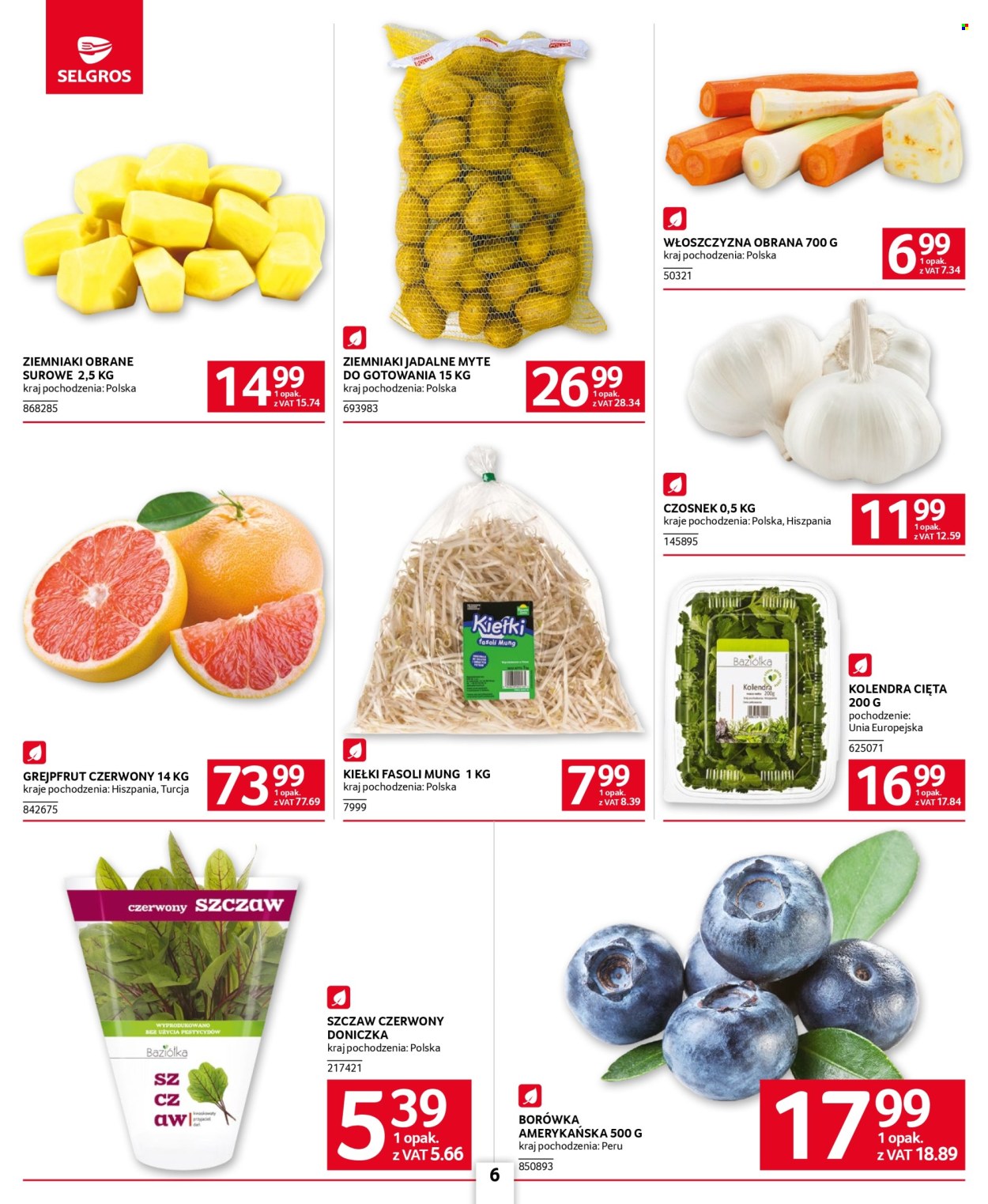 Gazetka Selgros - 23.01.2025 - 5.02.2025. Strona 6
