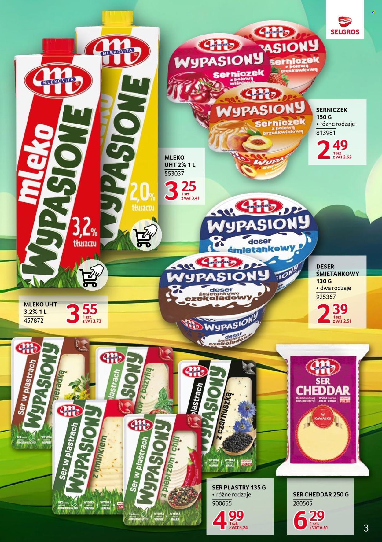 Gazetka Selgros - 23.01.2025 - 5.02.2025. Strona 3
