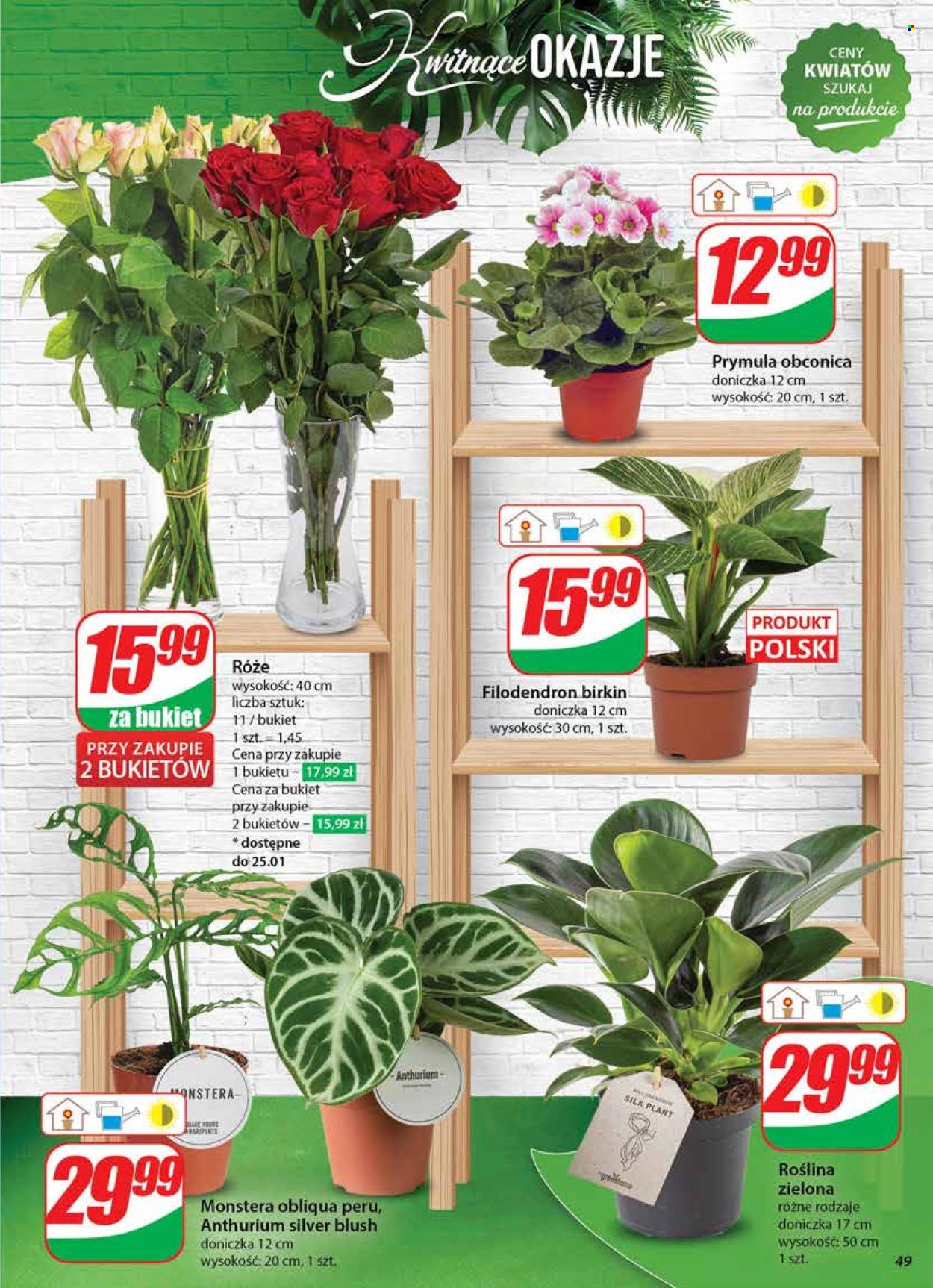 Gazetka Dino - 22.01.2025 - 28.01.2025. Strona 49