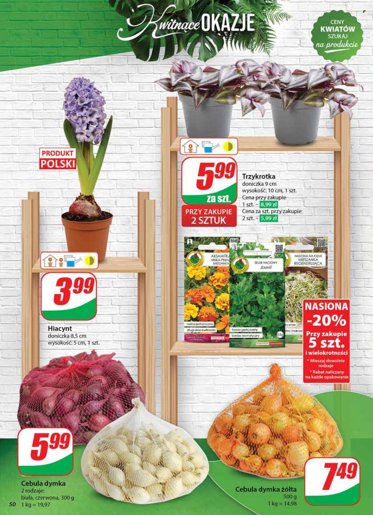 Gazetka Dino - 22.01.2025 - 28.01.2025. Strona 50