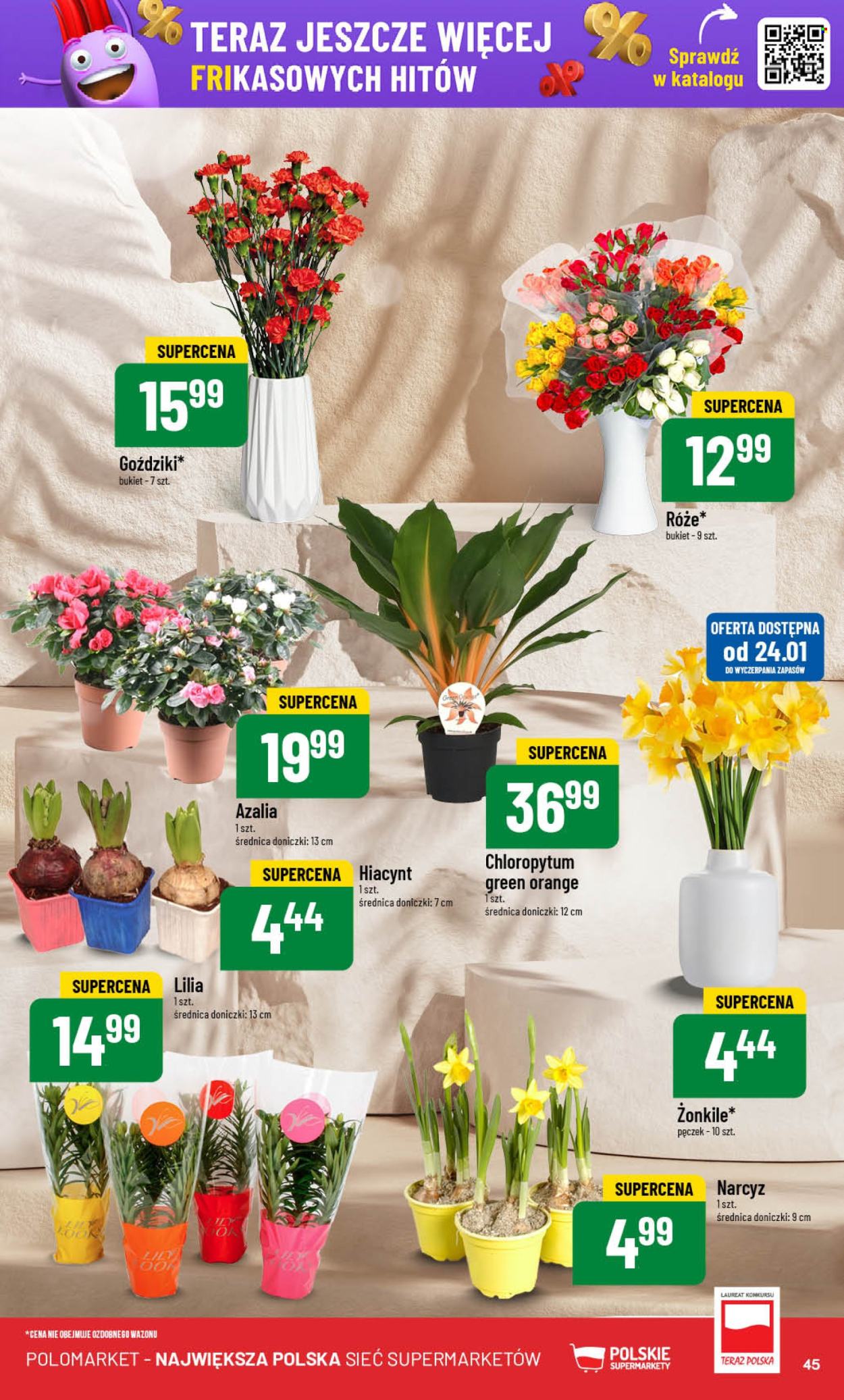 Gazetka Polomarket - 22.01.2025 - 28.01.2025. Strona 45