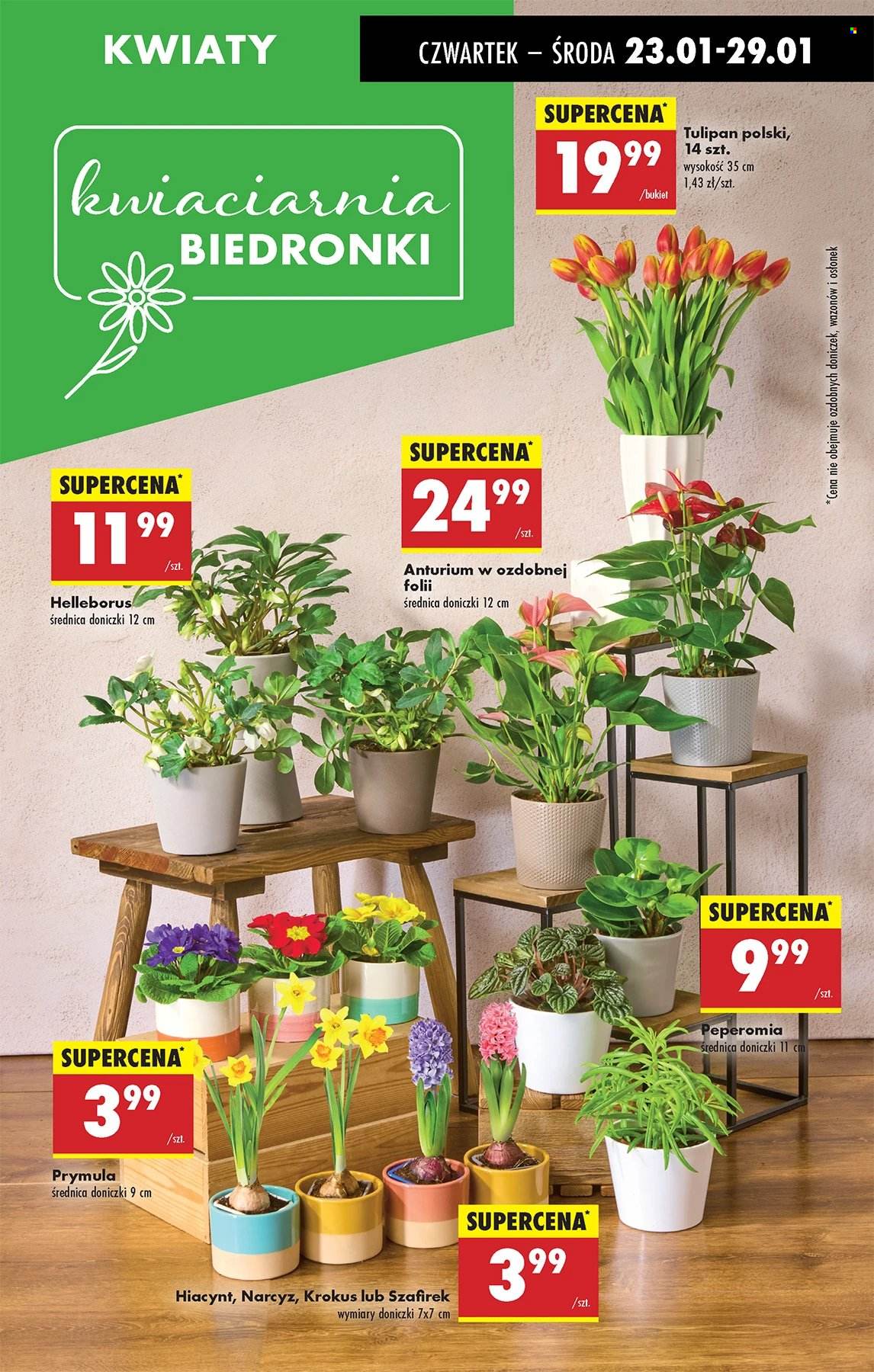 Gazetka Biedronka - 23.01.2025 - 29.01.2025. Strona 23