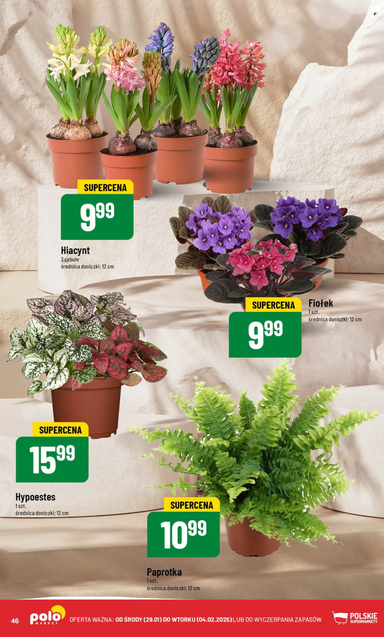 Gazetka Polomarket - 29.01.2025 - 4.02.2025. Strona 46