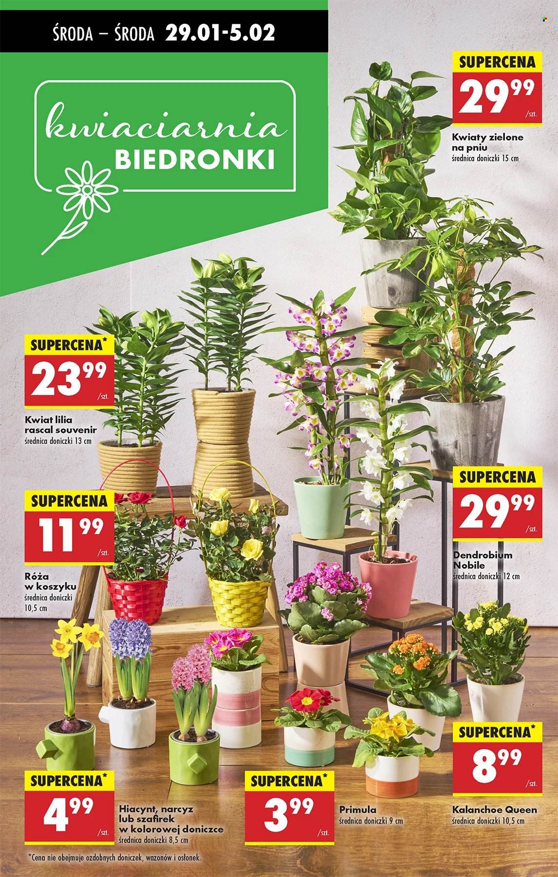 Gazetka Biedronka - 29.01.2025 - 5.02.2025. Strona 49