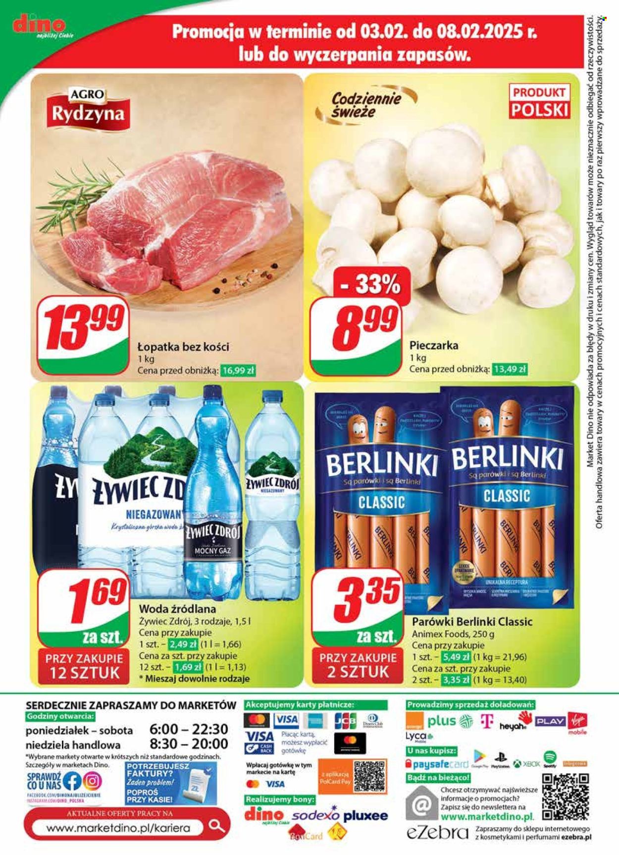 Gazetka Dino - 5.02.2025 - 11.02.2025. Strona 70