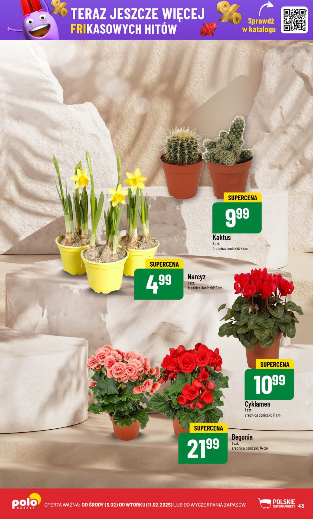 Gazetka Polomarket - 5.02.2025 - 11.02.2025. Strona 43