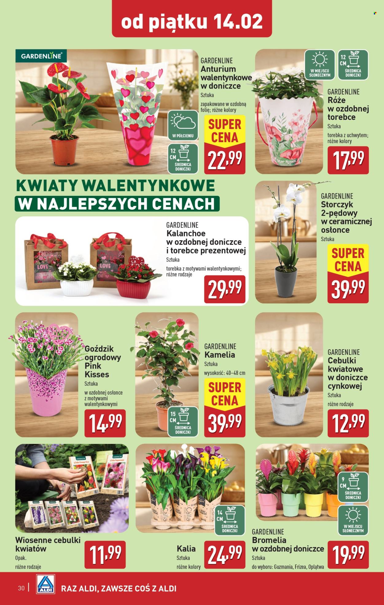 Gazetka ALDI - 10.02.2025 - 15.02.2025. Strona 30