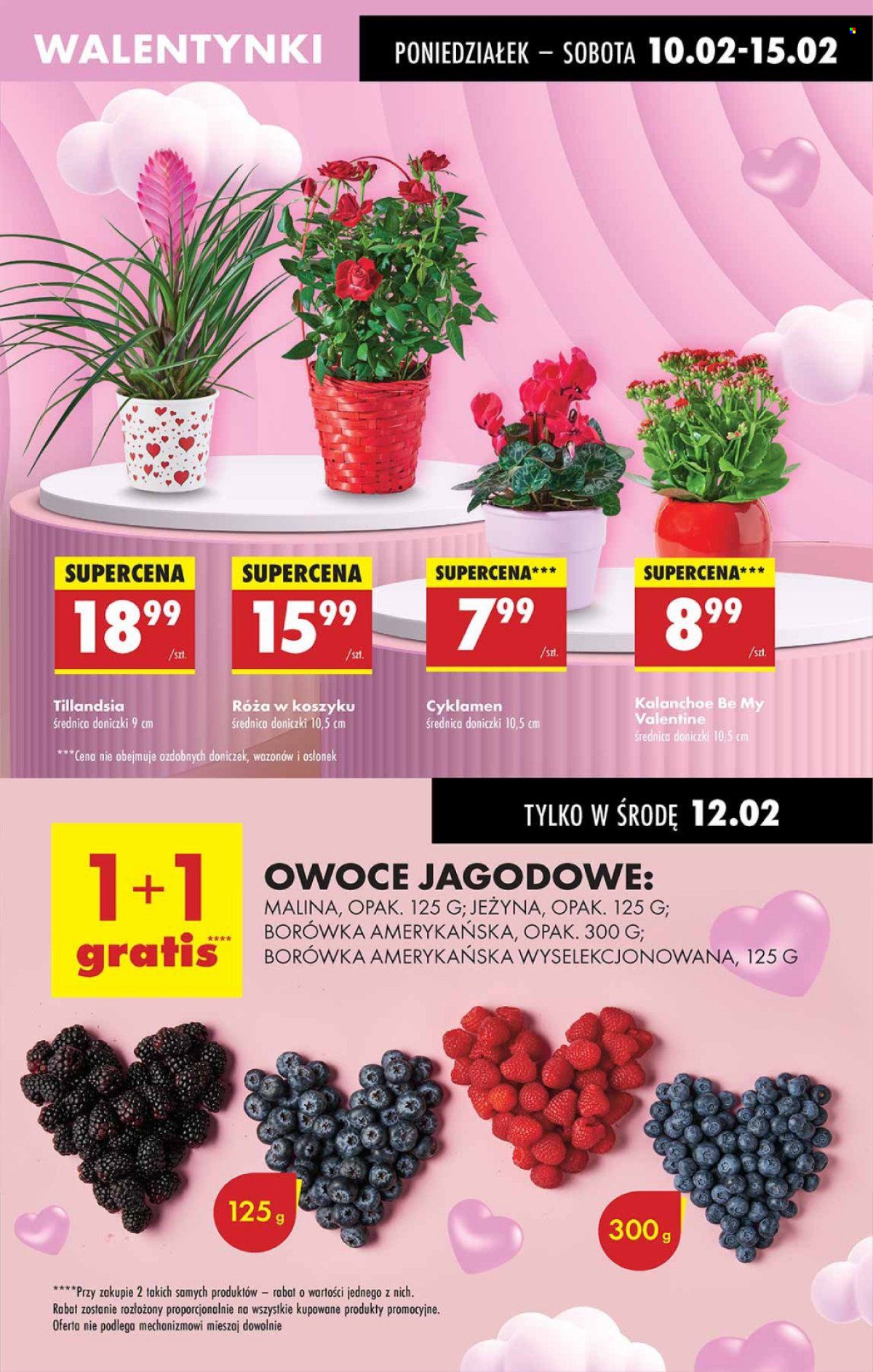 Gazetka Biedronka - 10.02.2025 - 15.02.2025. Strona 25