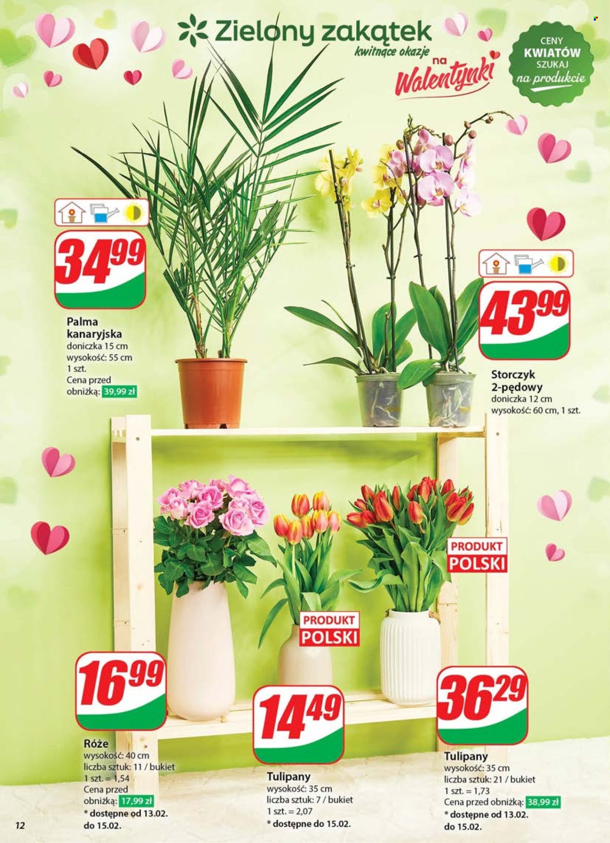Gazetka Dino - 12.02.2025 - 18.02.2025. Strona 12