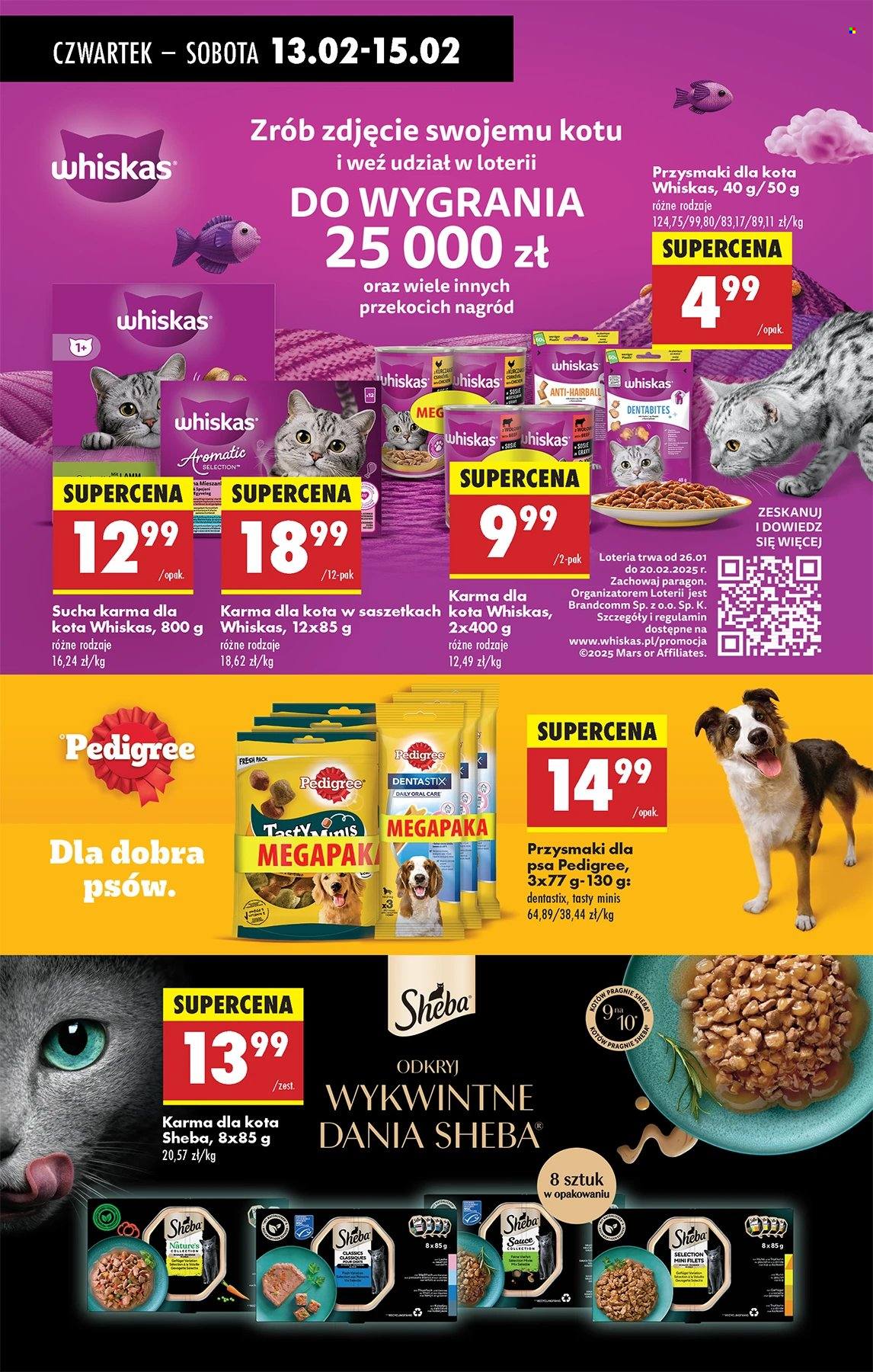 Gazetka Biedronka - 13.02.2025 - 19.02.2025. Strona 67