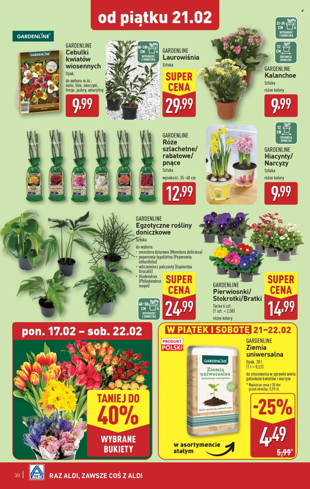 Gazetka ALDI - 17.02.2025 - 22.02.2025. Strona 30