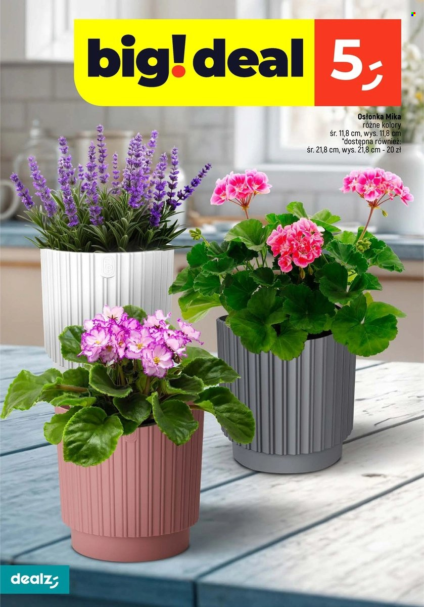 Gazetka Dealz - 17.02.2025 - 22.02.2025. Strona 10