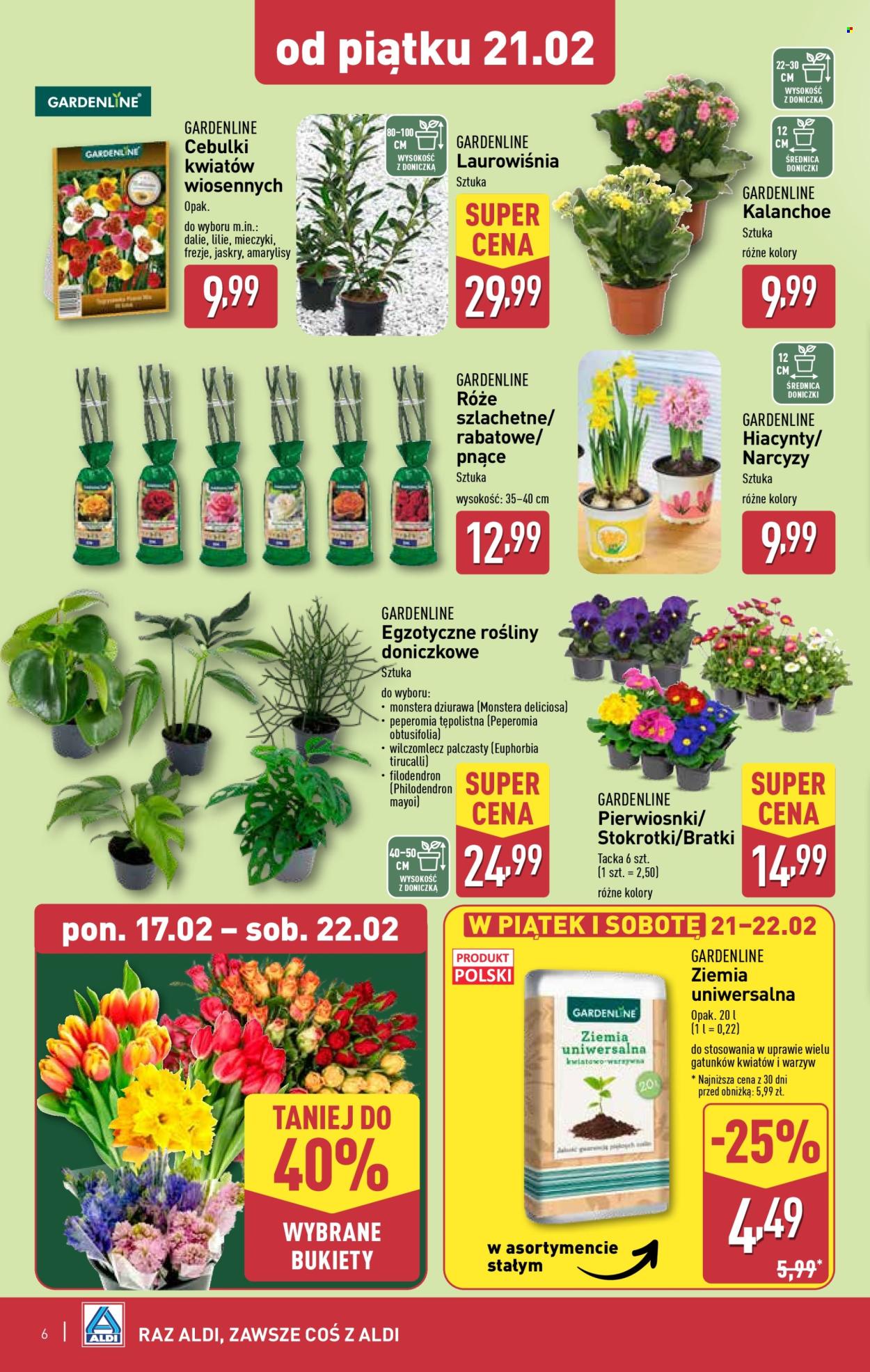 Gazetka ALDI - 17.02.2025 - 22.02.2025. Strona 6