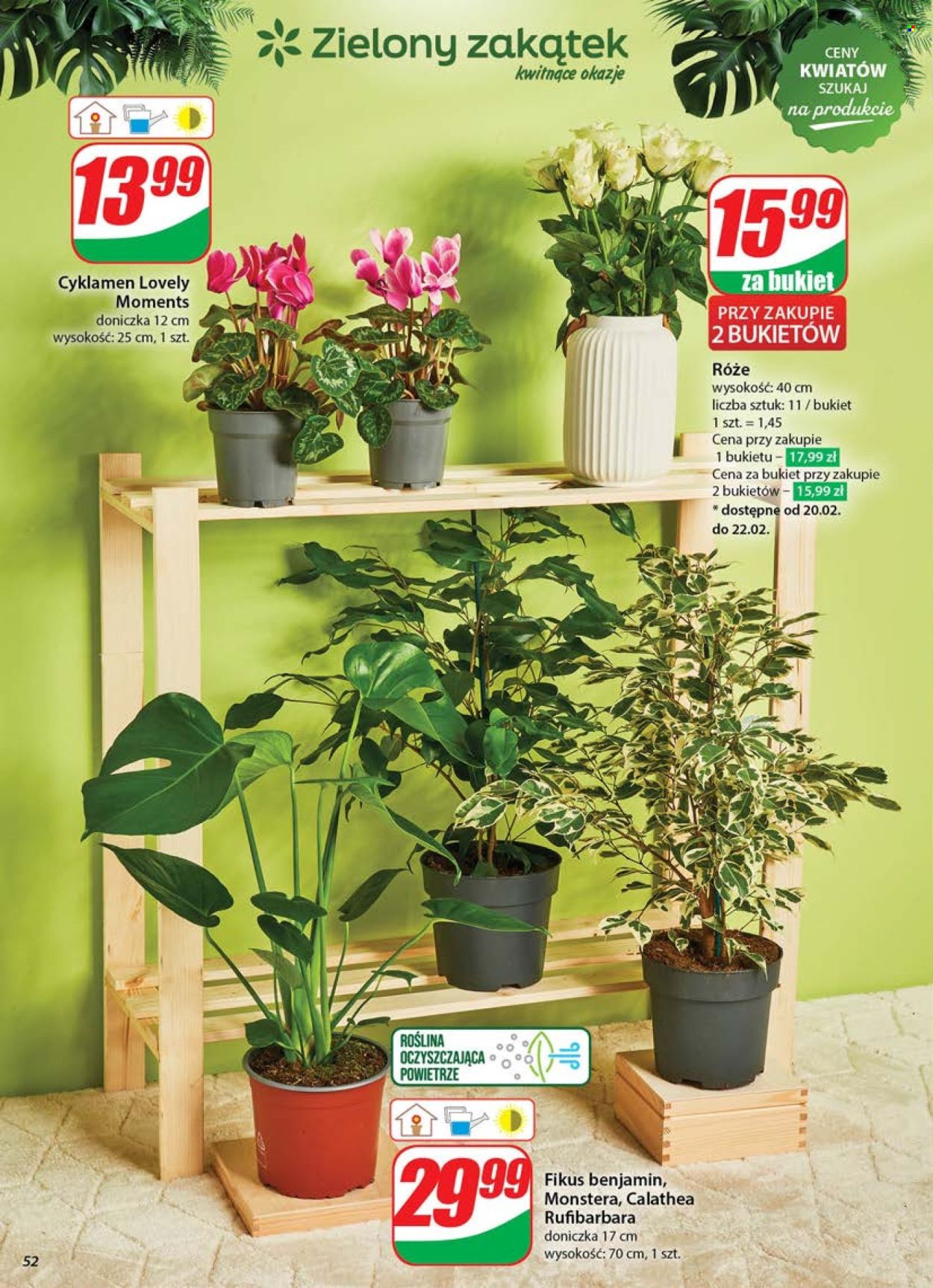 Gazetka Dino - 19.02.2025 - 25.02.2025. Strona 52