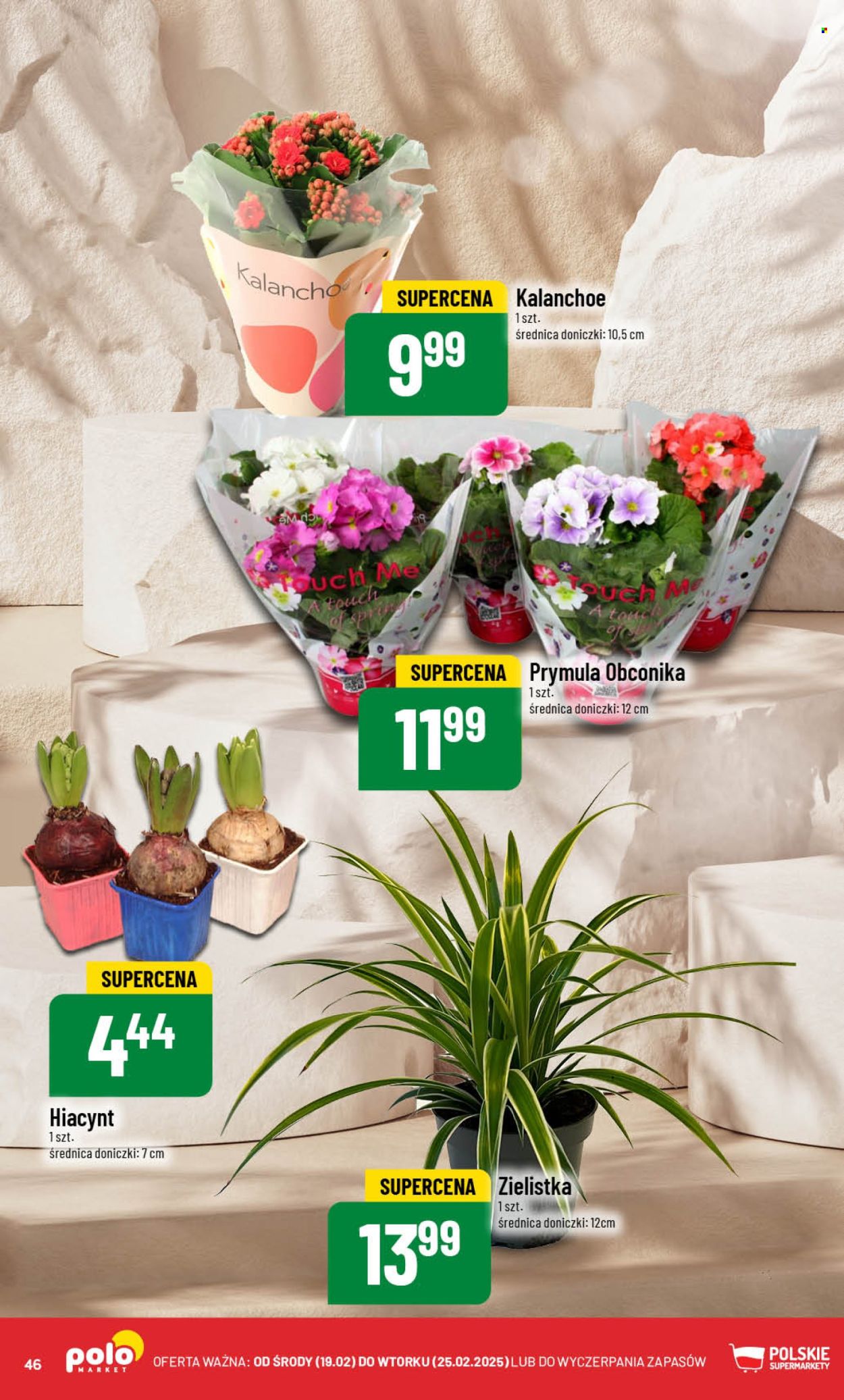 Gazetka Polomarket - 19.02.2025 - 25.02.2025. Strona 46