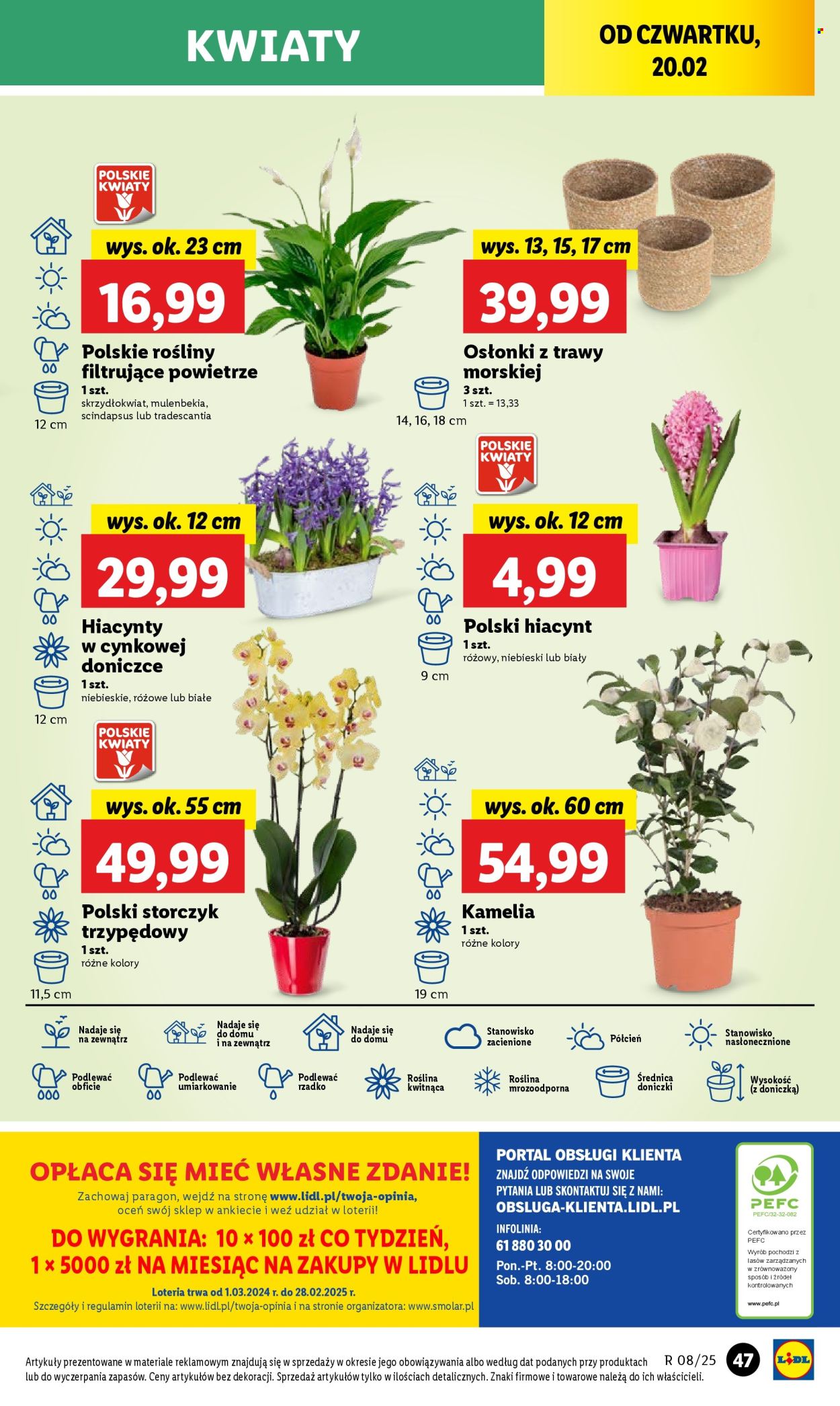 Gazetka Lidl - 20.02.2025 - 22.02.2025. Strona 53