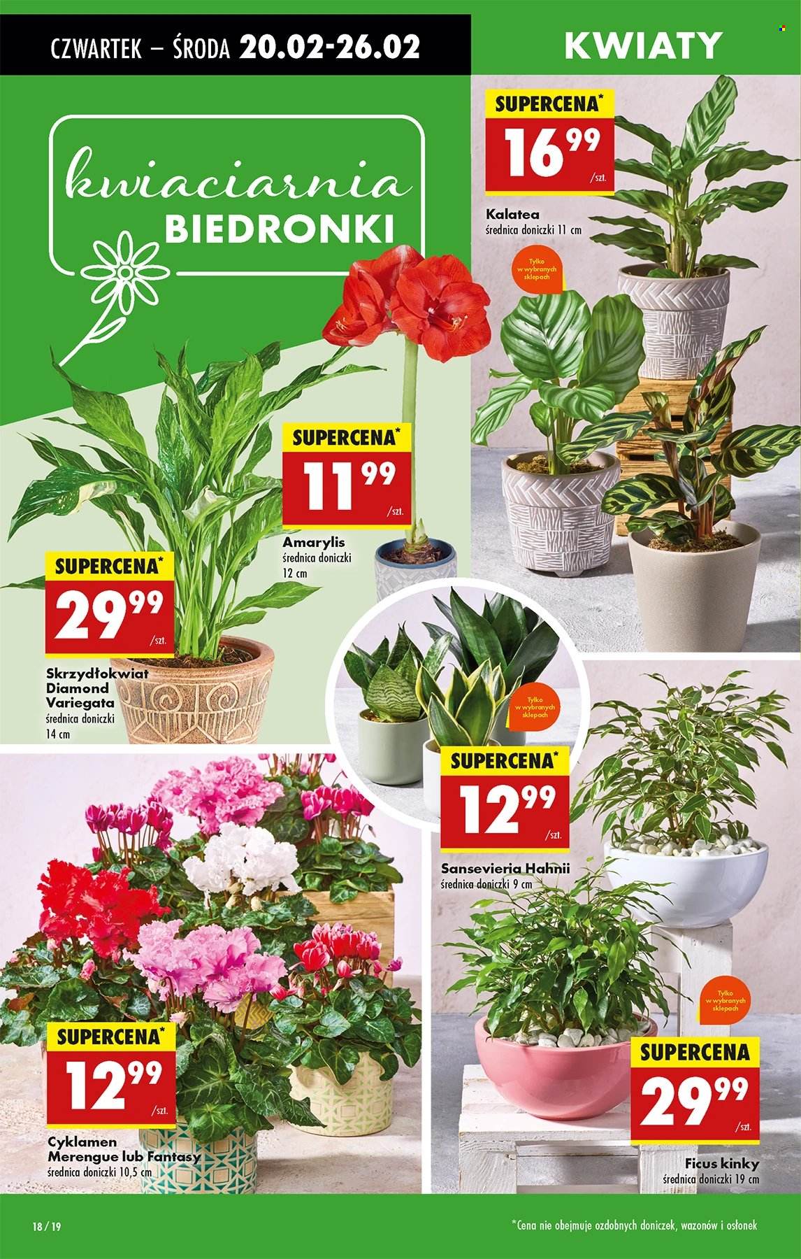 Gazetka Biedronka - 20.02.2025 - 26.02.2025. Strona 18