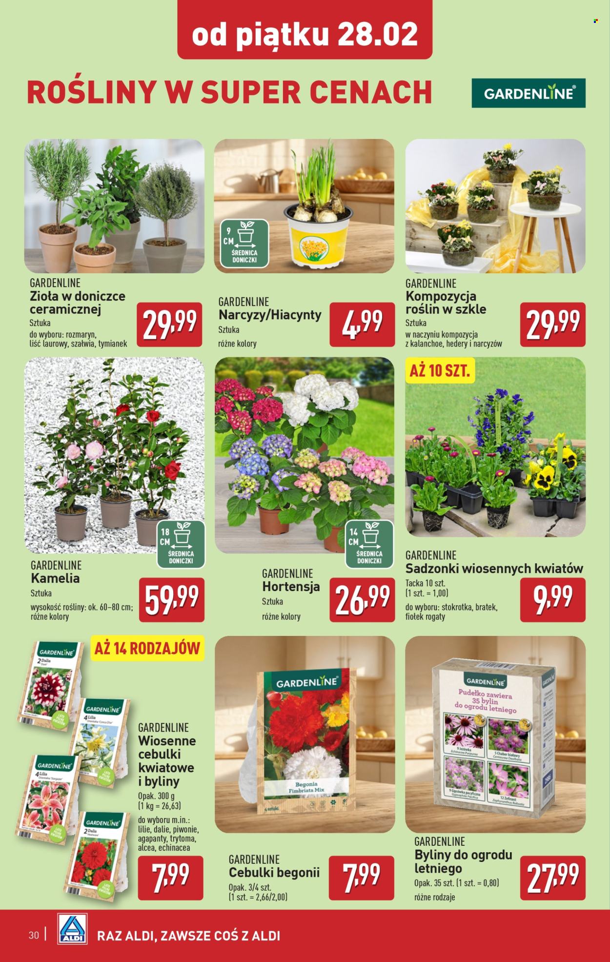 Gazetka ALDI - 24.02.2025 - 1.03.2025. Strona 30