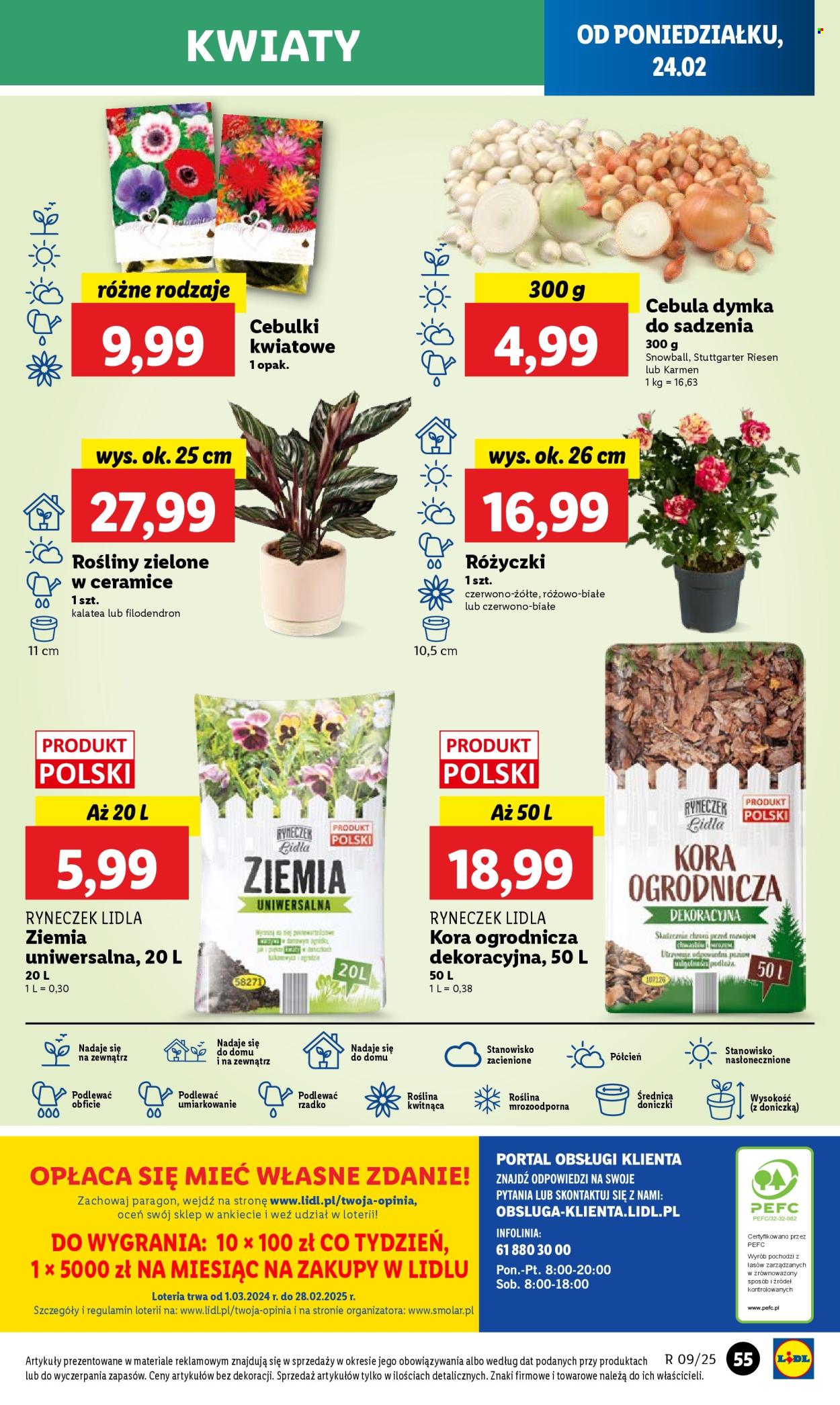 Gazetka Lidl - 24.02.2025 - 26.02.2025. Strona 59