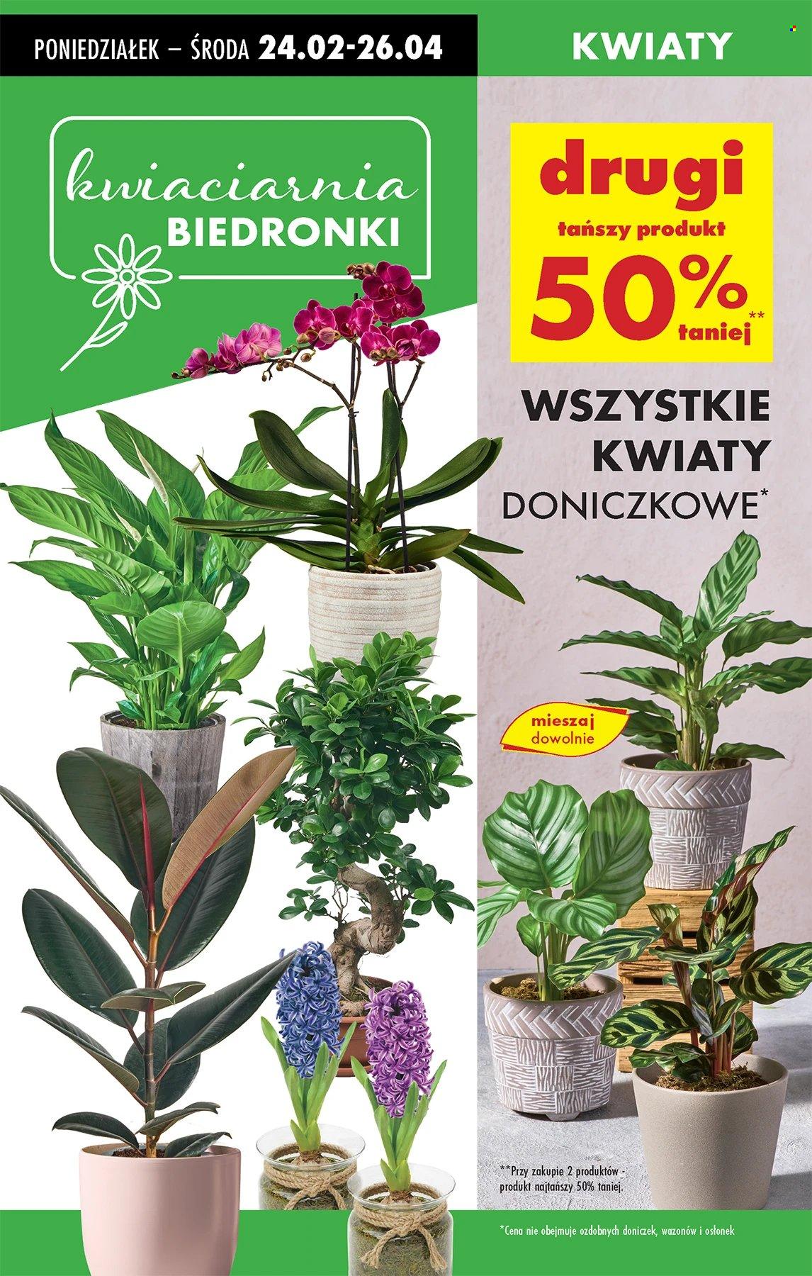 Gazetka Biedronka - 24.02.2025 - 1.03.2025. Strona 65