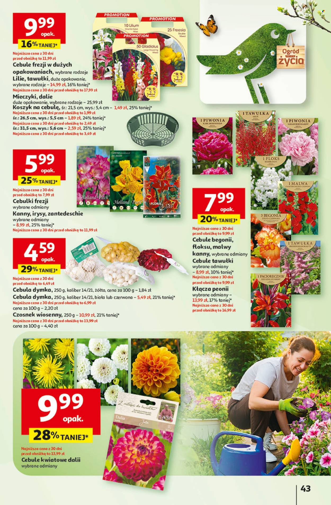 Gazetka Auchan - 27.02.2025 - 5.03.2025. Strona 51