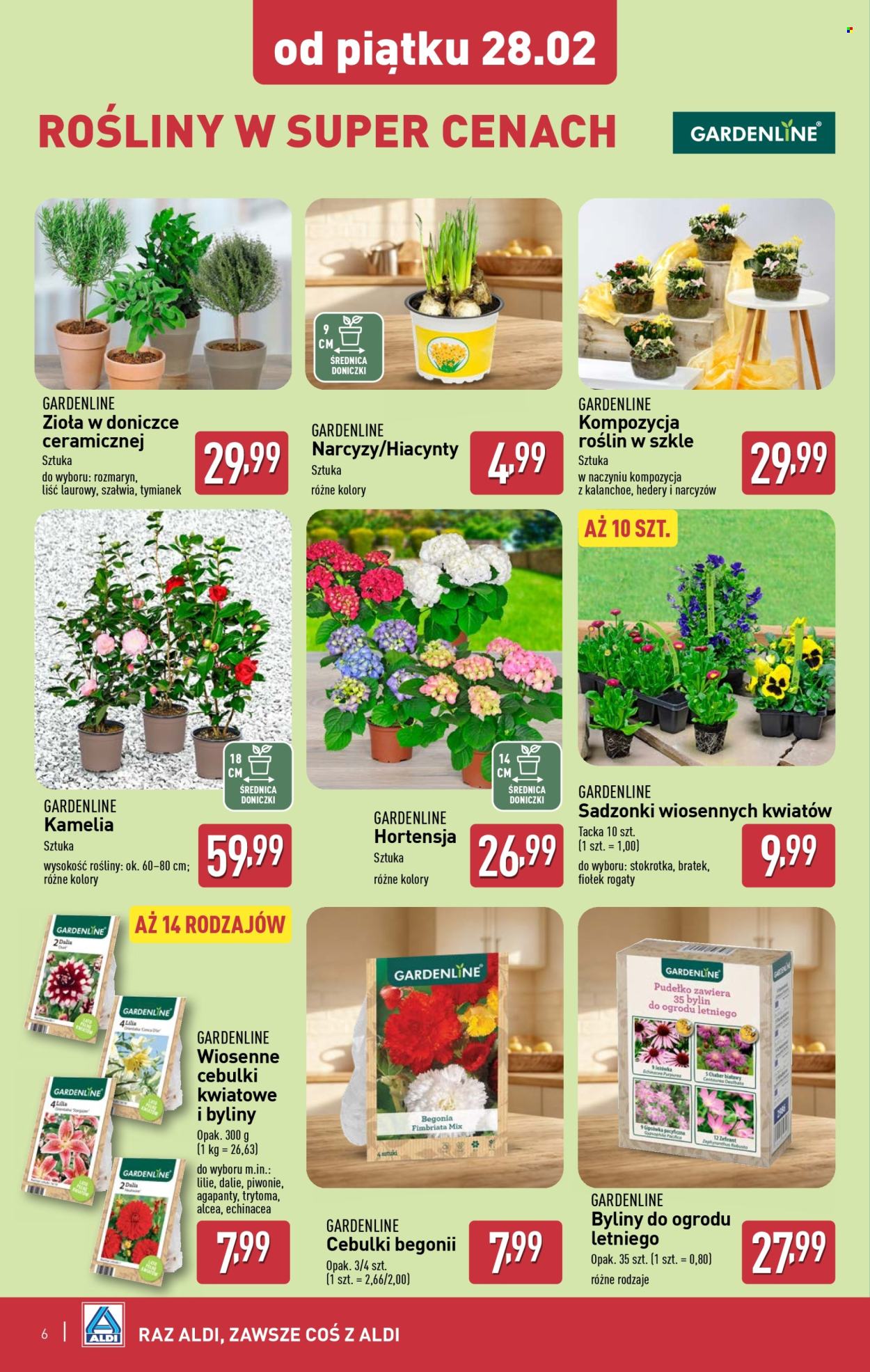 Gazetka ALDI - 27.02.2025 - 1.03.2025. Strona 6