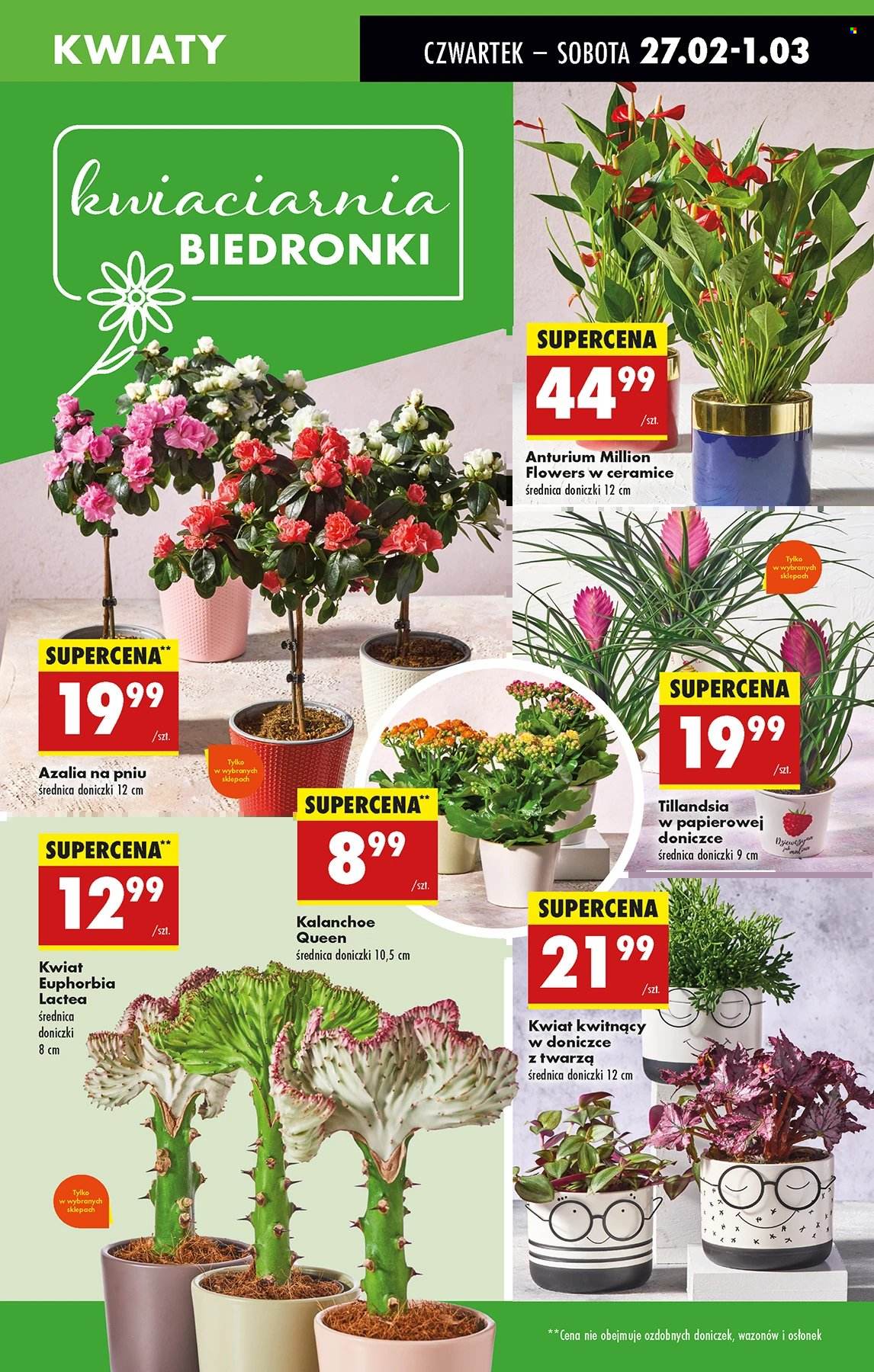 Gazetka Biedronka - 27.02.2025 - 5.03.2025. Strona 23