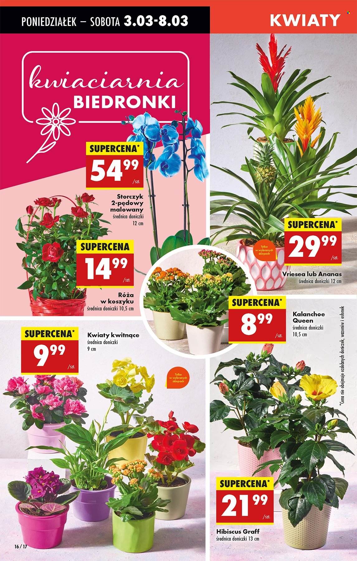 Gazetka Biedronka - 3.03.2025 - 8.03.2025. Strona 16