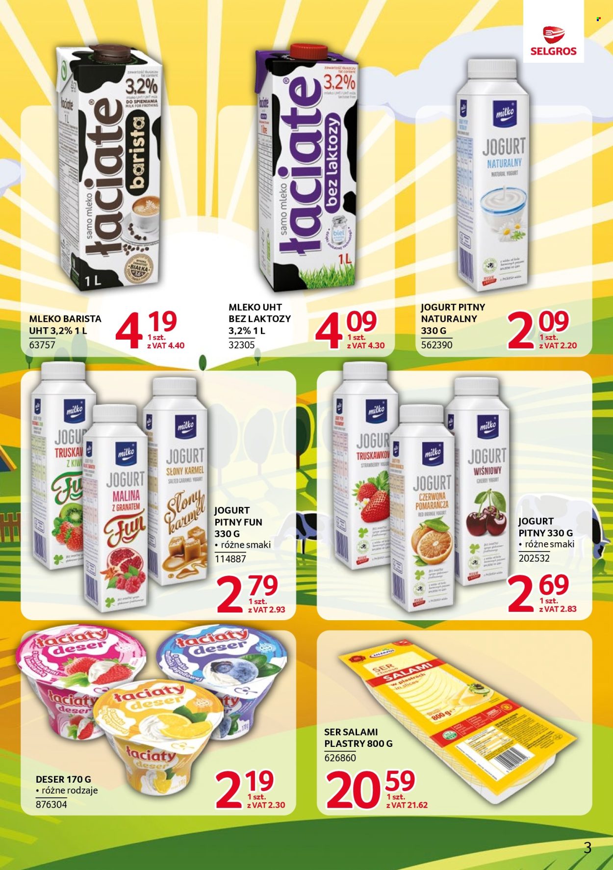Gazetka Selgros - 6.03.2025 - 19.03.2025. Strona 3