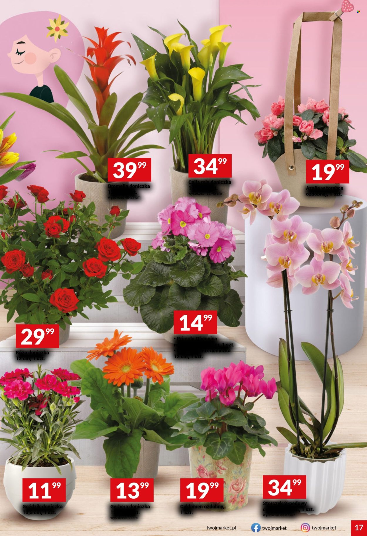 Gazetka Twój Market - 5.03.2025 - 11.03.2025. Strona 17