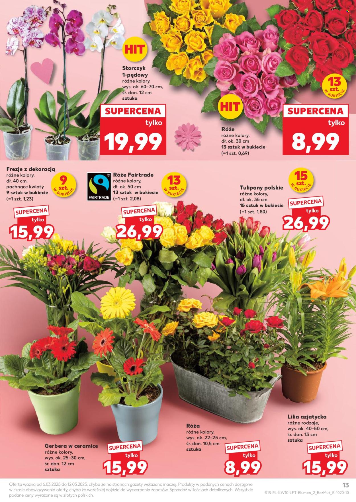 Gazetka Kaufland - 6.03.2025 - 12.03.2025. Strona 13