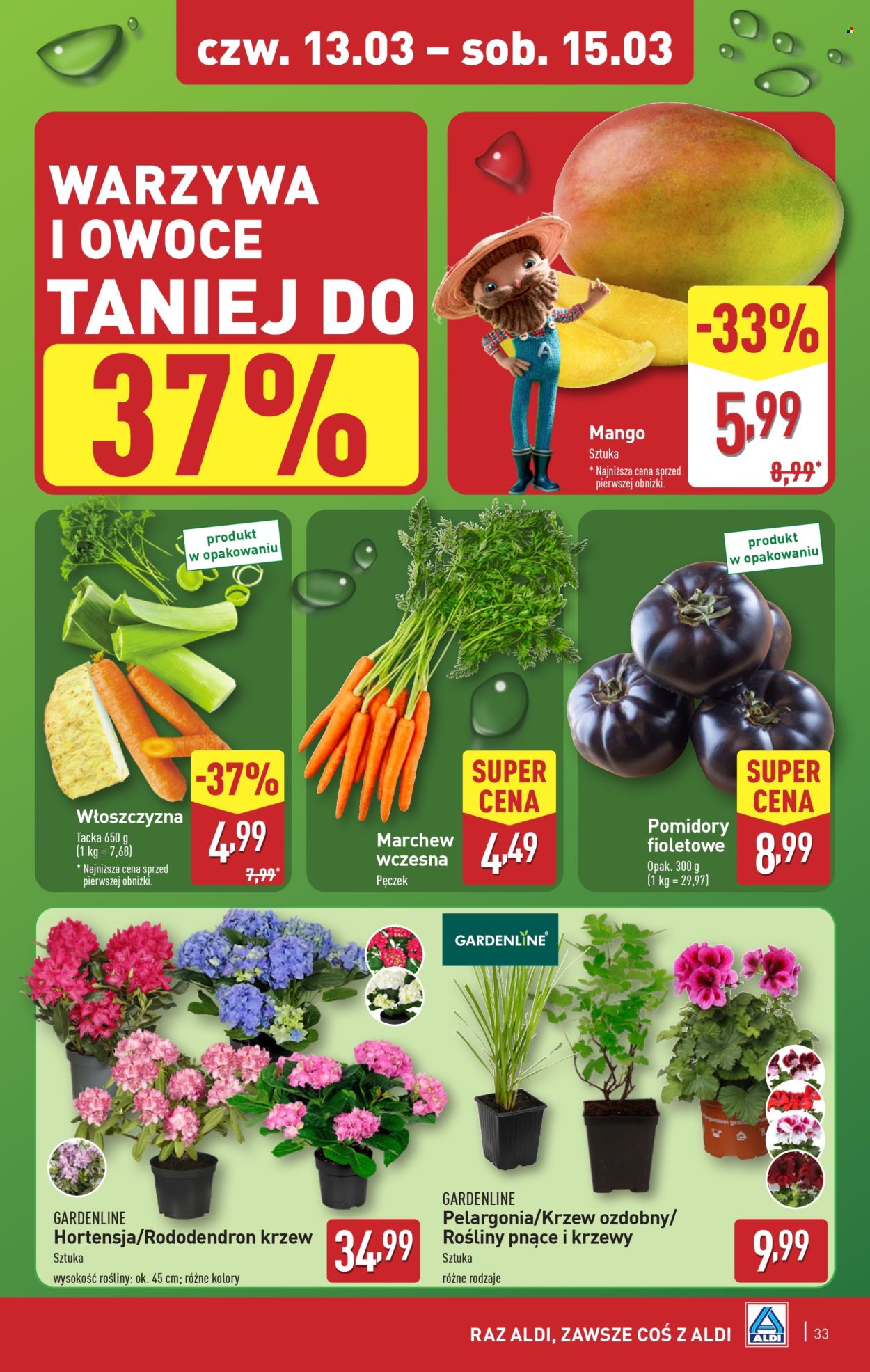 Gazetka ALDI - 10.03.2025 - 15.03.2025. Strona 33