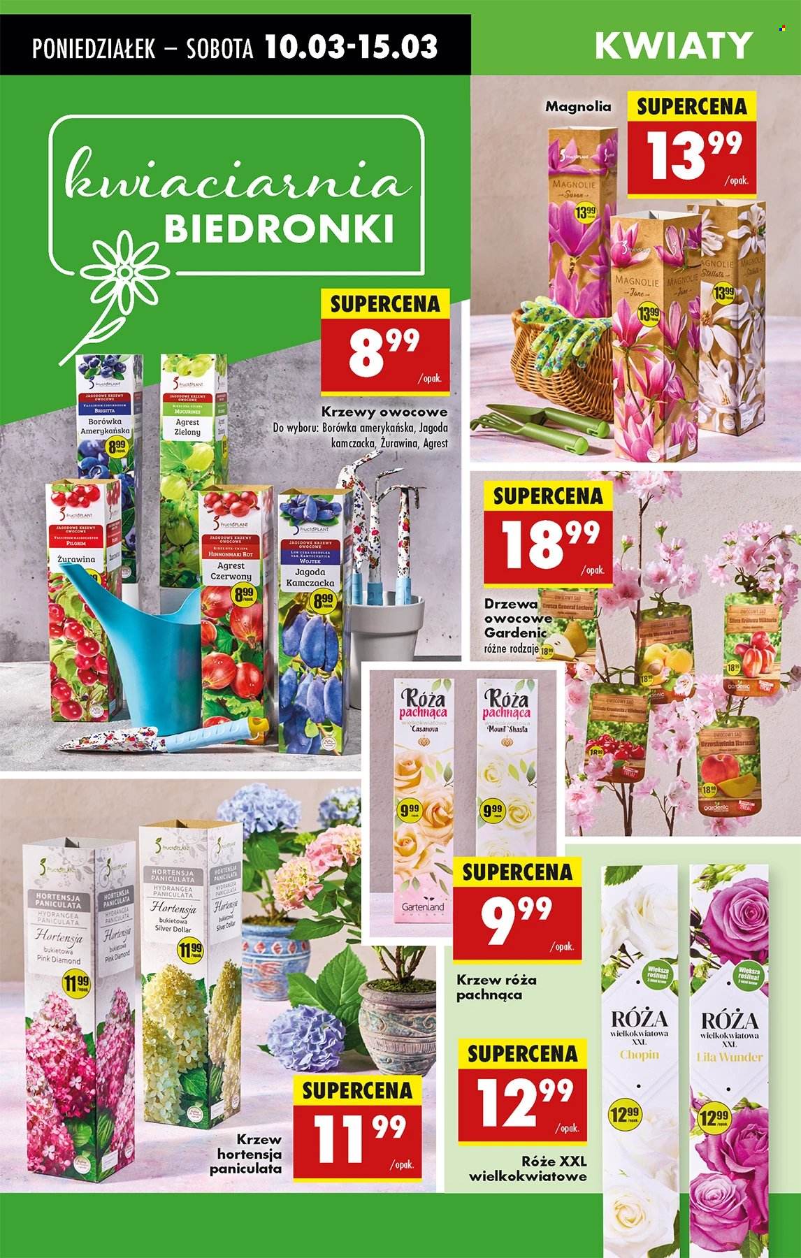 Gazetka Biedronka - 10.03.2025 - 15.03.2025. Strona 65
