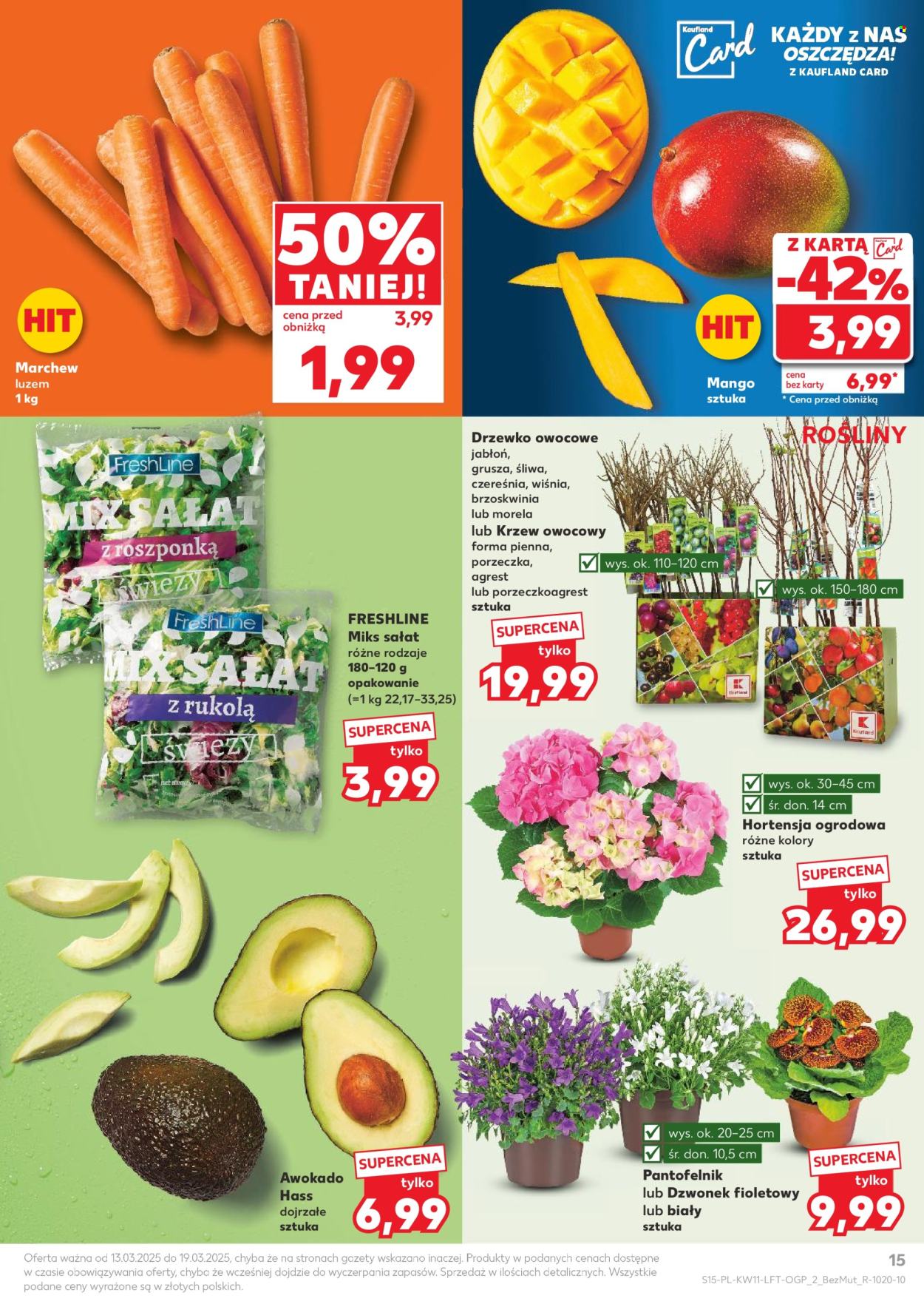 Gazetka Kaufland - 13.03.2025 - 19.03.2025. Strona 15