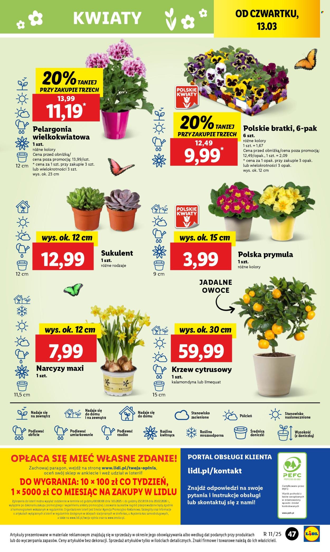 Gazetka Lidl - 13.03.2025 - 15.03.2025. Strona 55