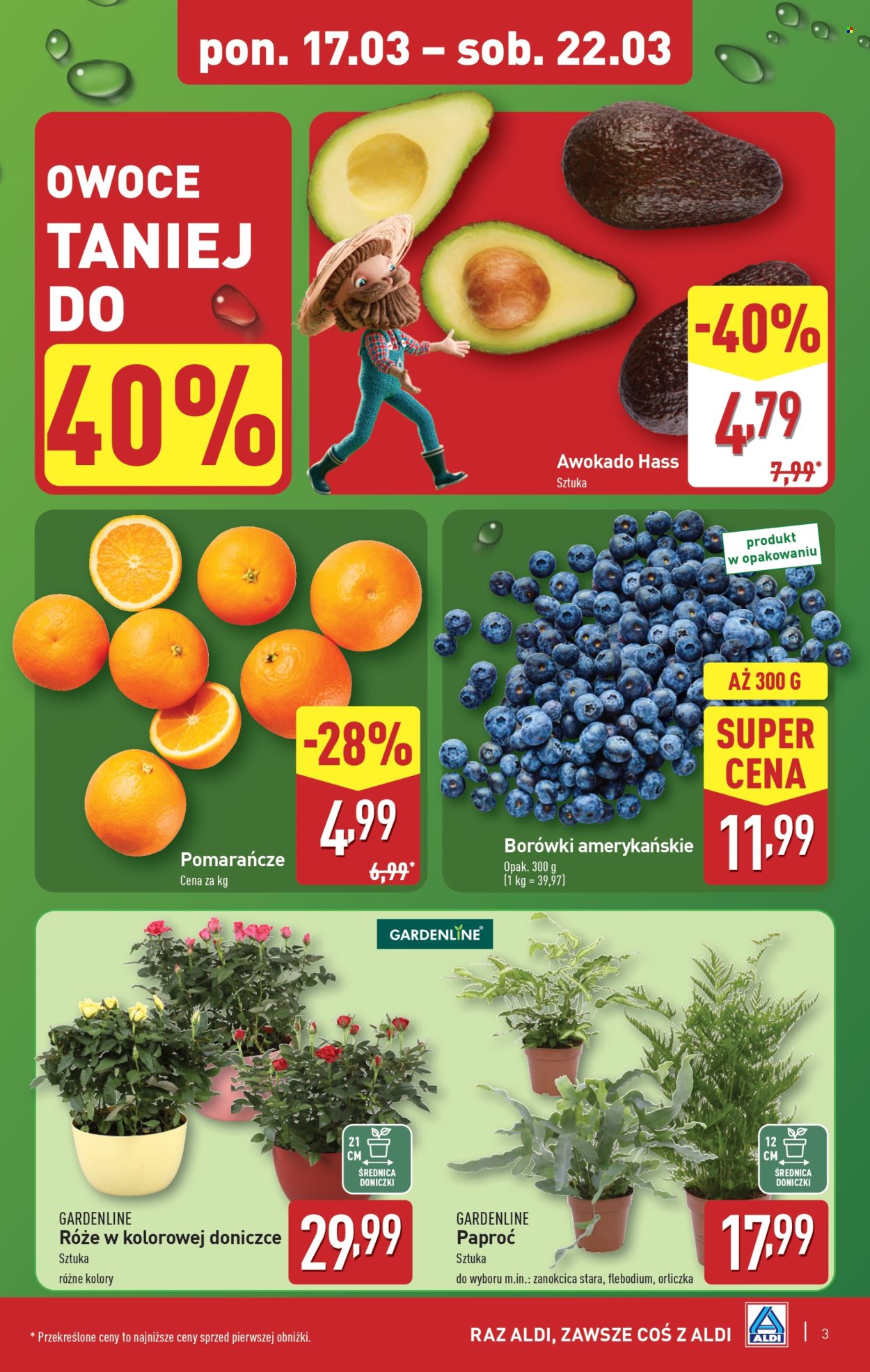 Gazetka ALDI - 17.03.2025 - 22.03.2025. Strona 3