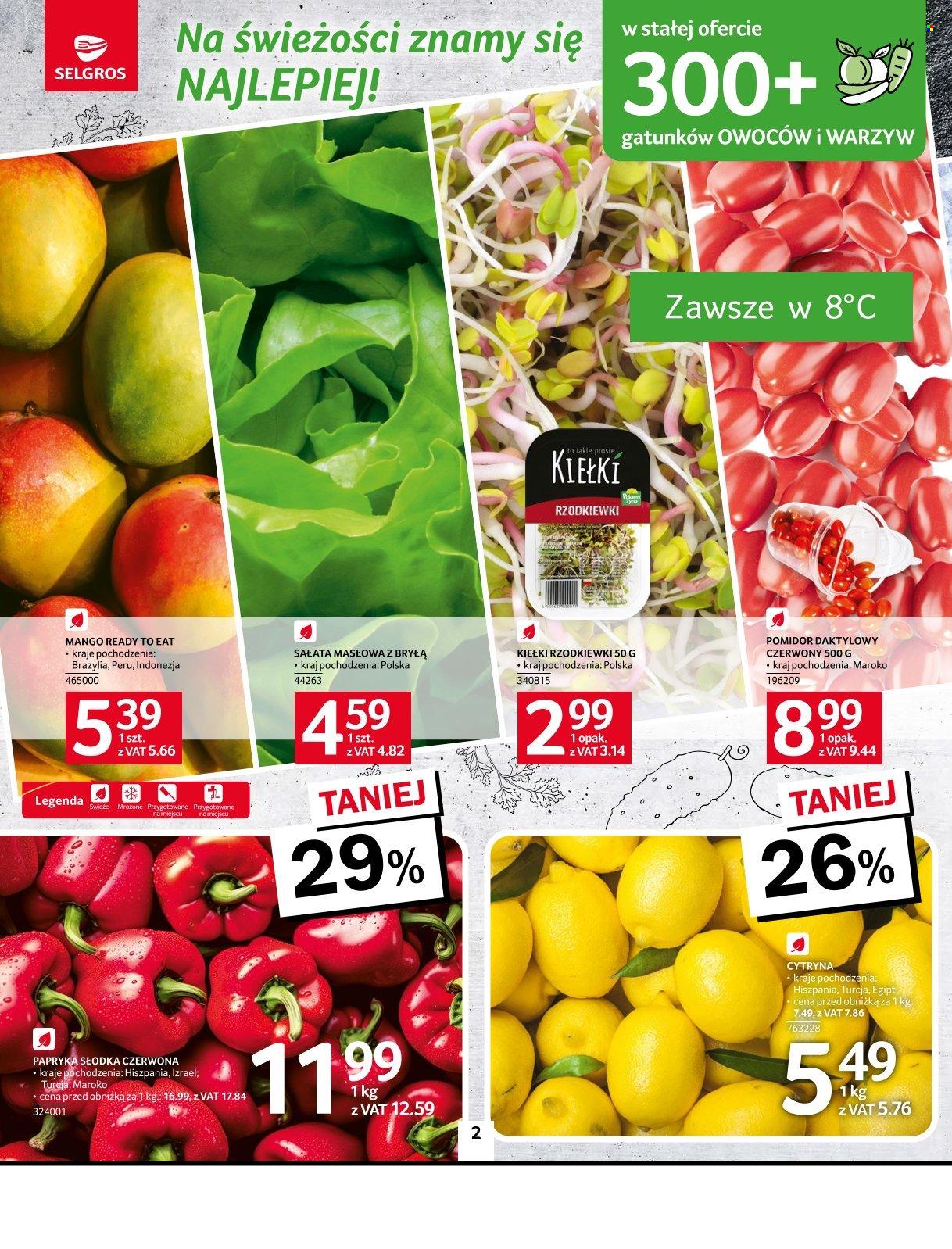 Gazetka Selgros - 20.03.2025 - 2.04.2025. Strona 2
