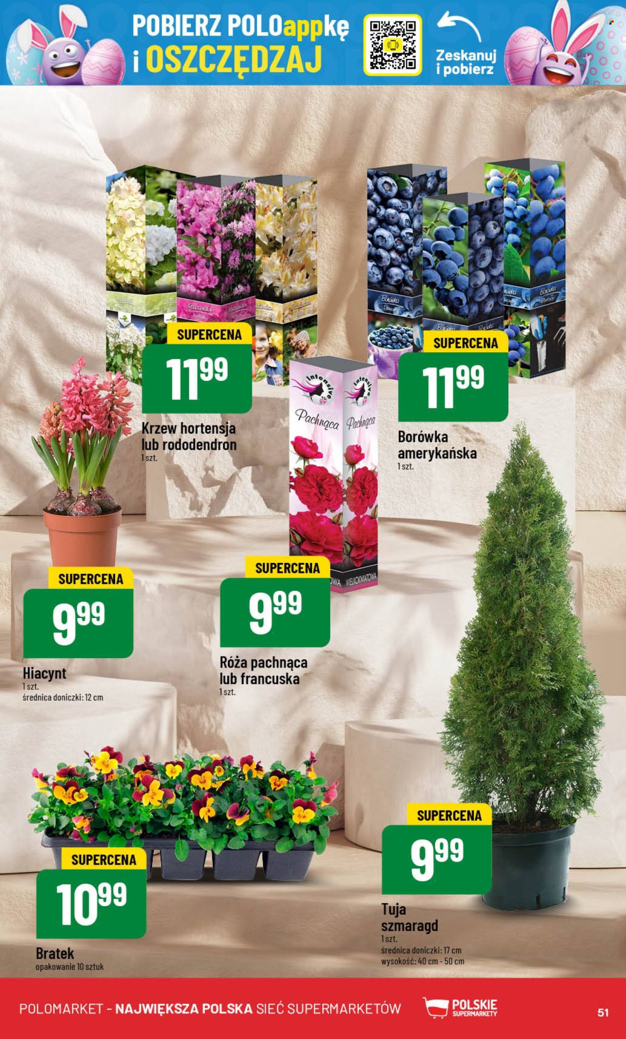 Gazetka Polomarket - 19.03.2025 - 25.03.2025. Strona 51