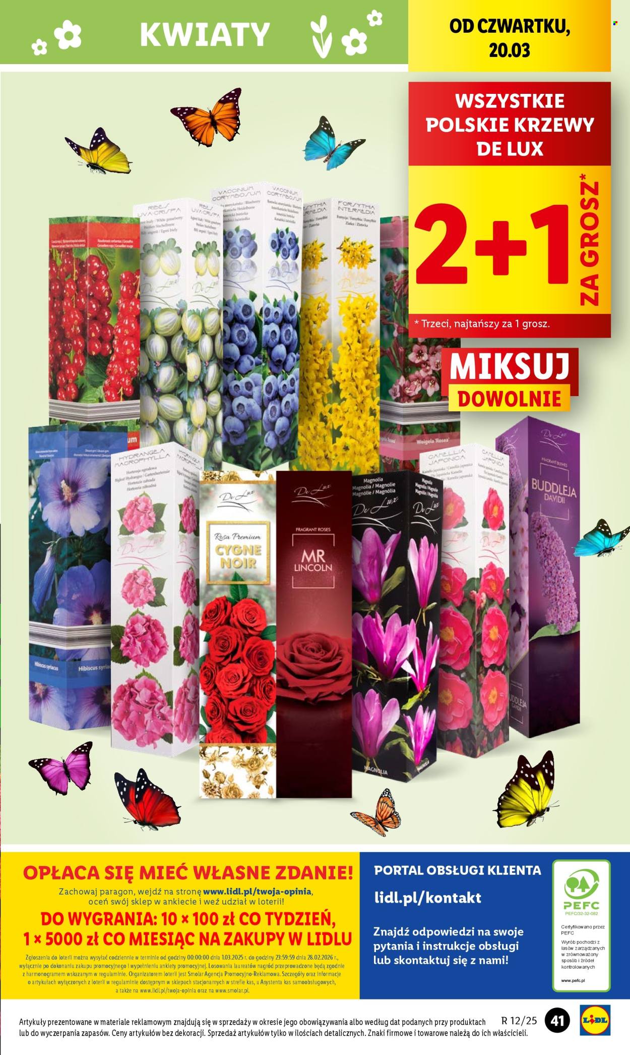 Gazetka Lidl - 20.03.2025 - 22.03.2025. Strona 55