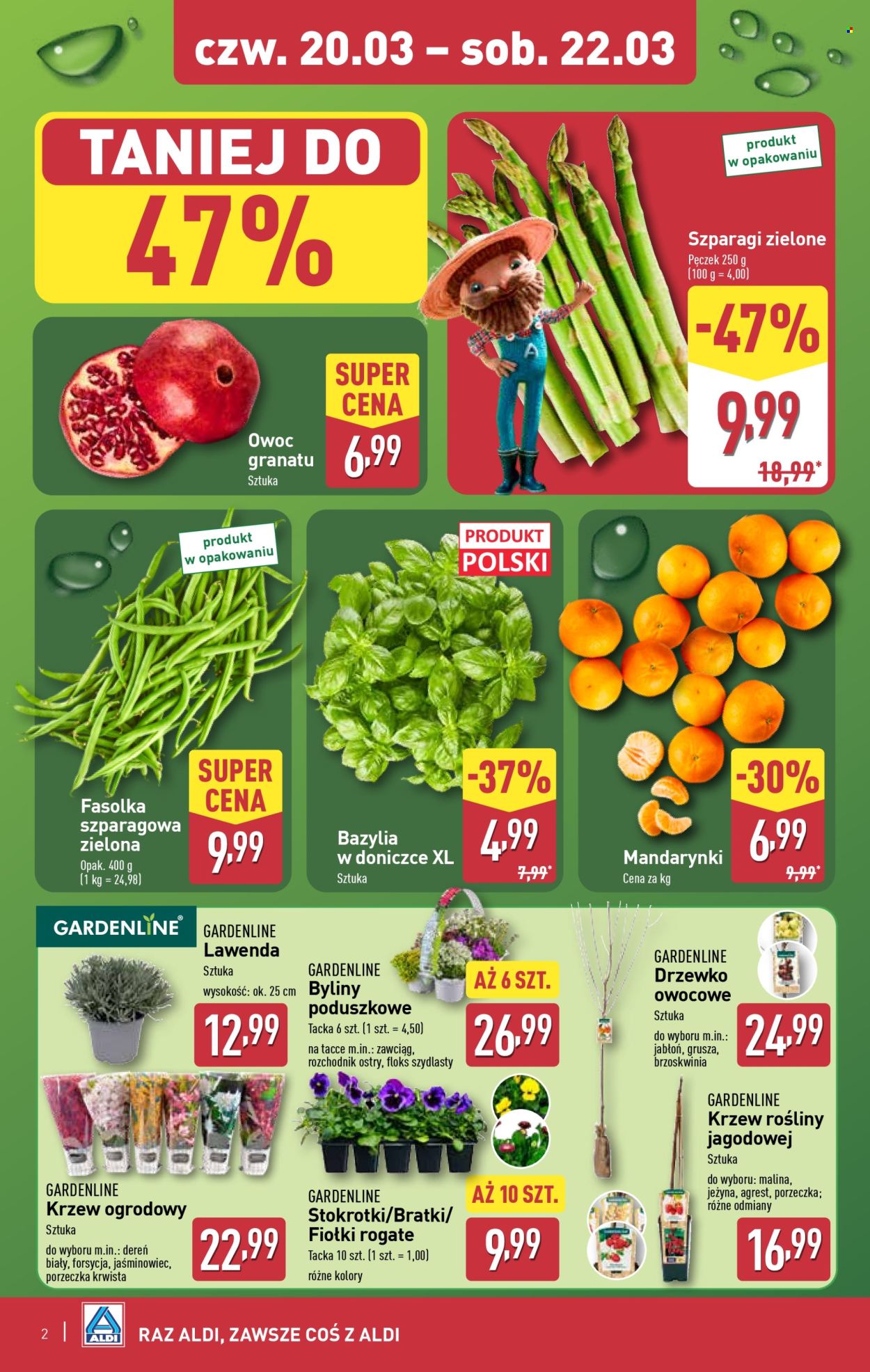 Gazetka ALDI - 20.03.2025 - 22.03.2025. Strona 2