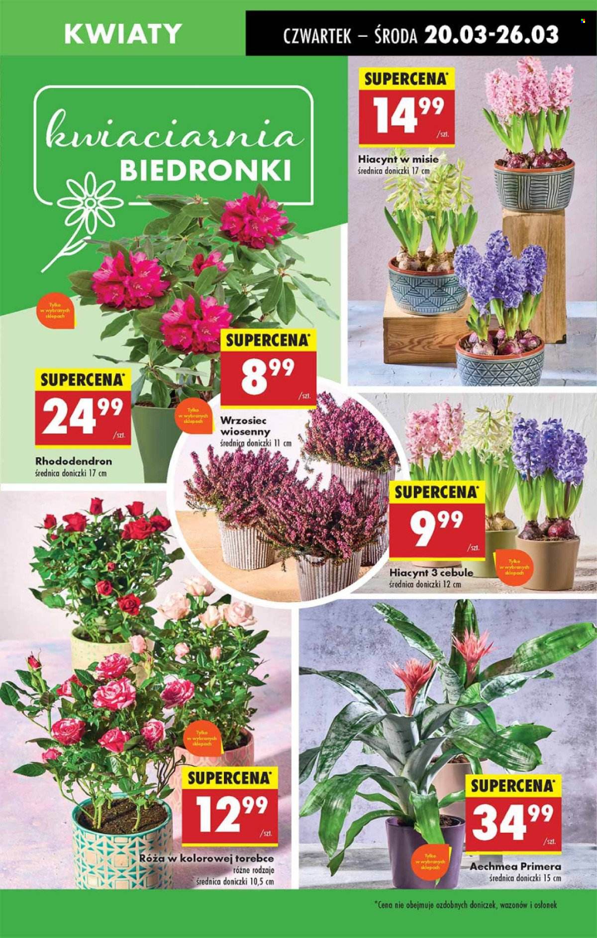 Gazetka Biedronka - 20.03.2025 - 26.03.2025. Strona 19
