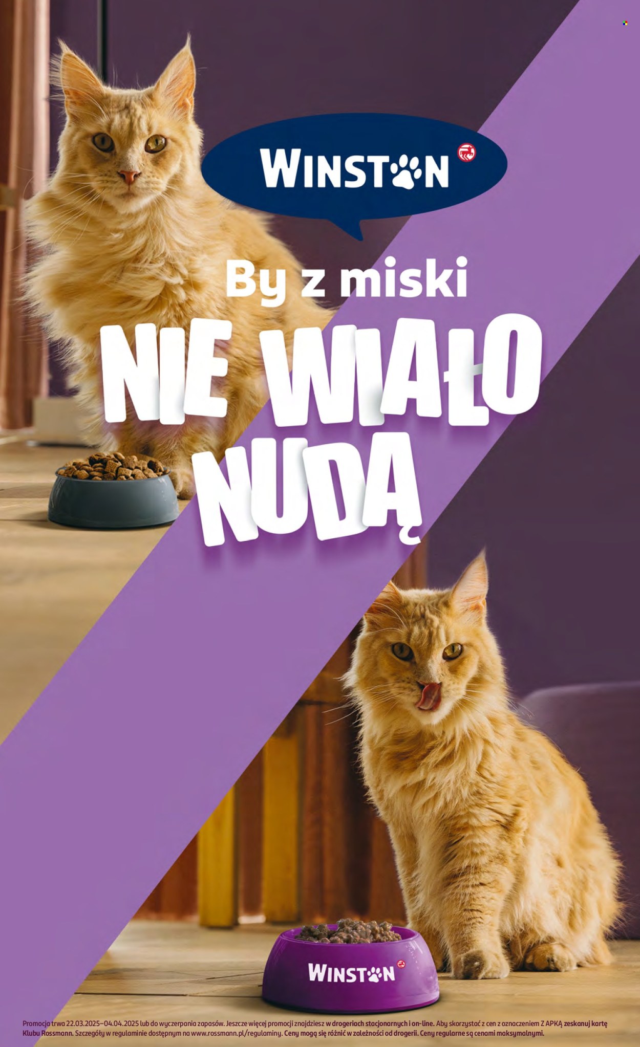 Gazetka Rossmann - 22.03.2025 - 4.04.2025. Strona 15