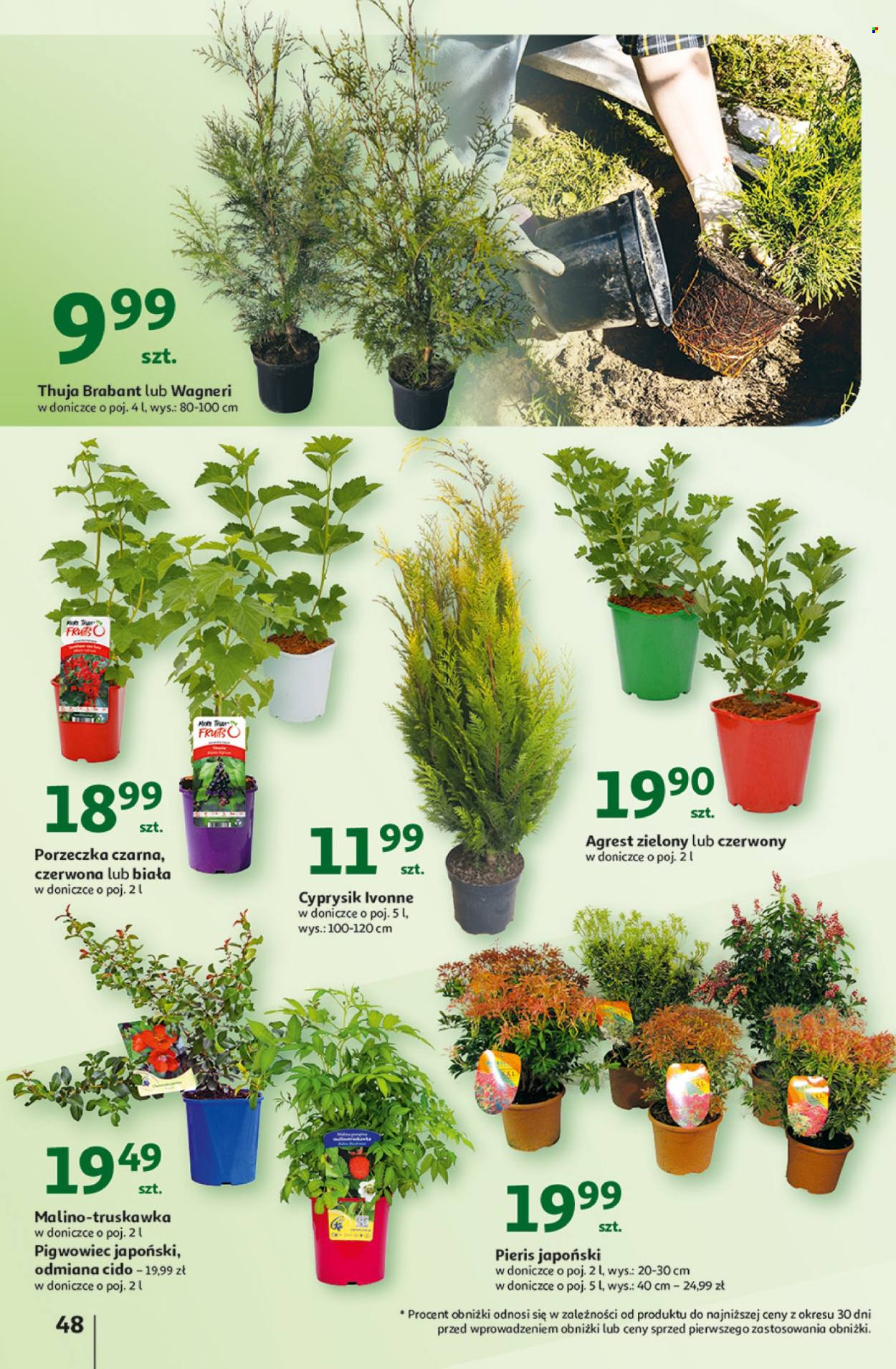 Gazetka Auchan - 27.03.2025 - 2.04.2025. Strona 52