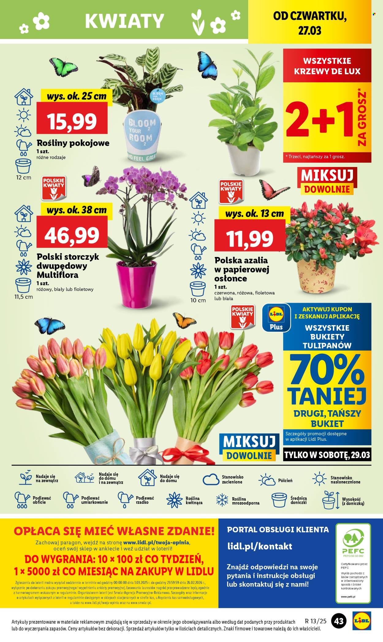 Gazetka Lidl - 27.03.2025 - 29.03.2025. Strona 51