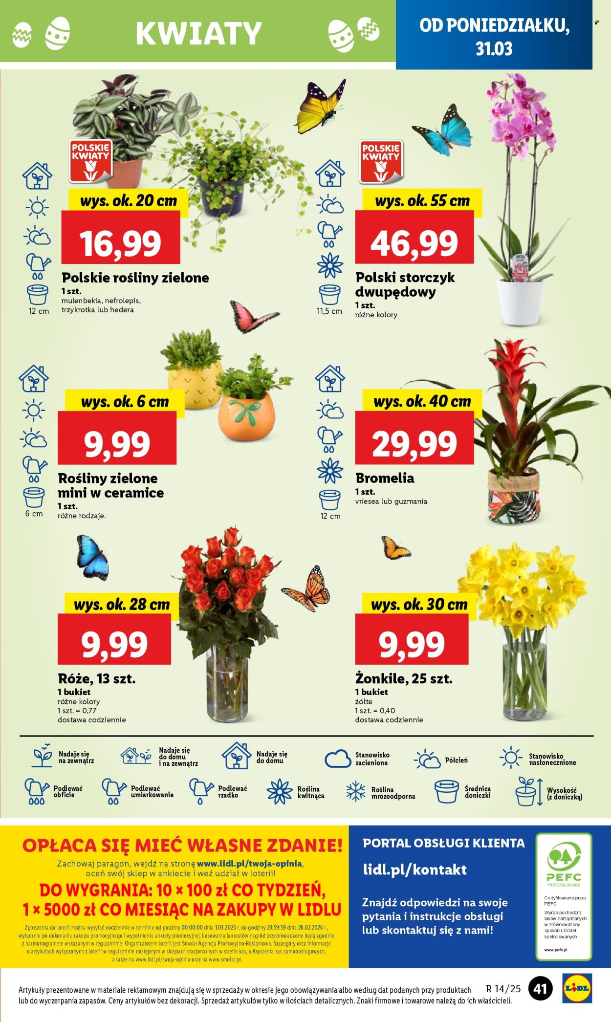 Gazetka Lidl - 31.03.2025 - 2.04.2025. Strona 43