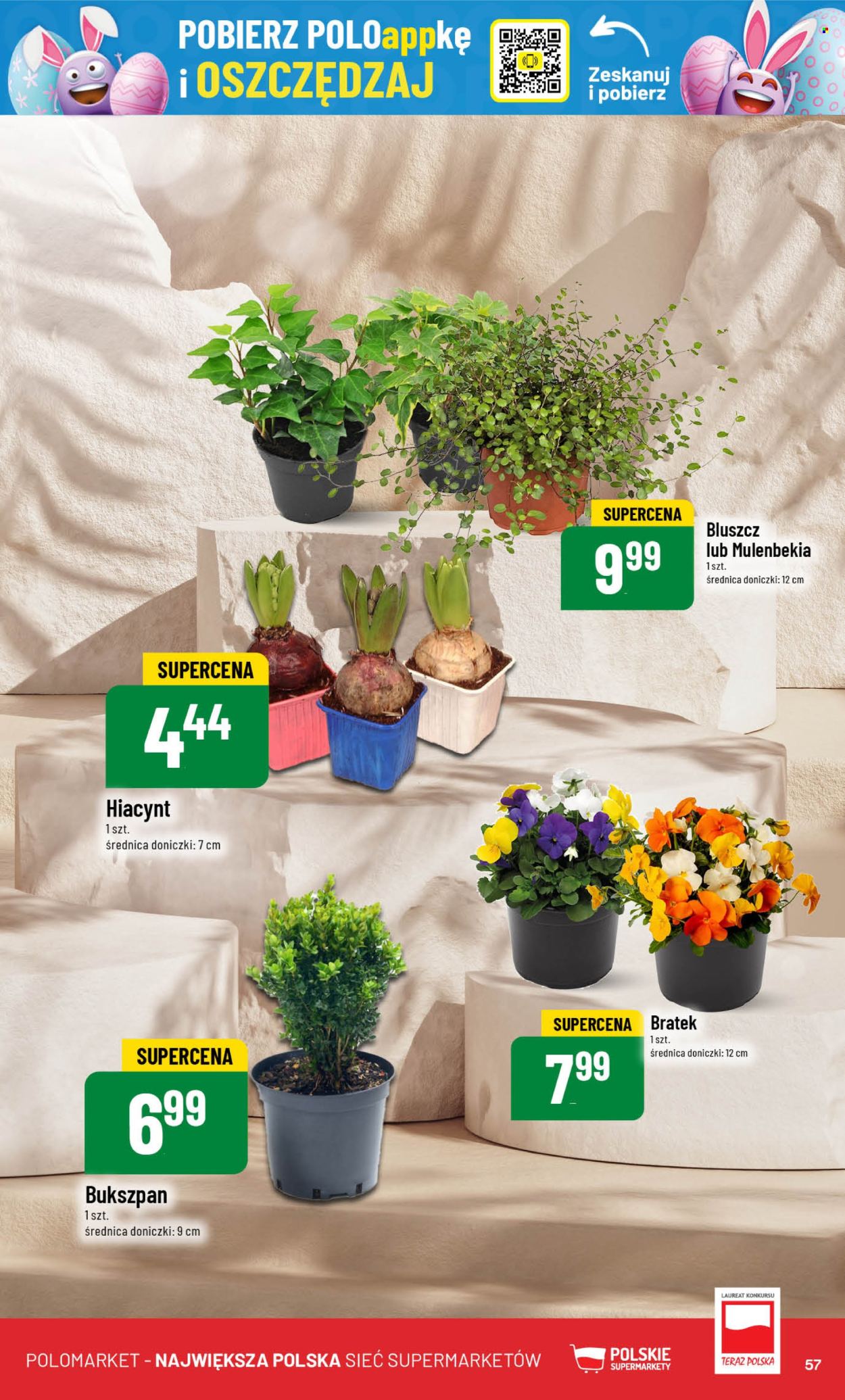 Gazetka Polomarket - 2.04.2025 - 8.04.2025. Strona 57
