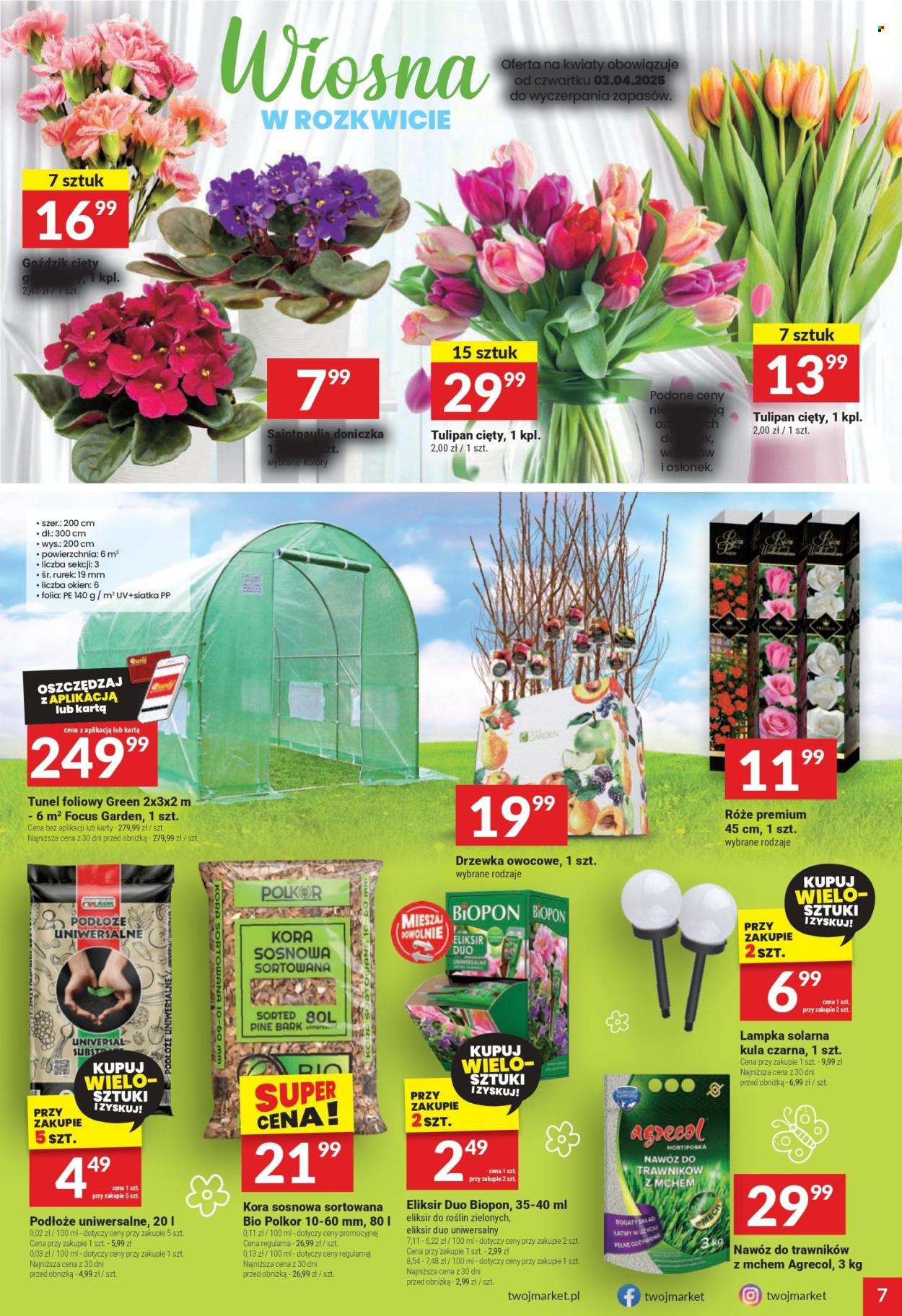 Gazetka Twój Market - 2.04.2025 - 8.04.2025. Strona 7