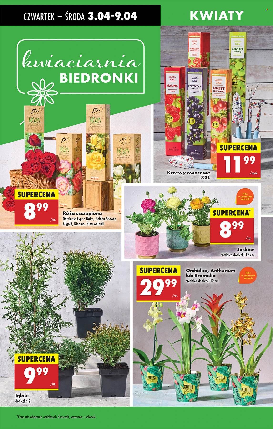 Gazetka Biedronka - 3.04.2025 - 9.04.2025. Strona 62