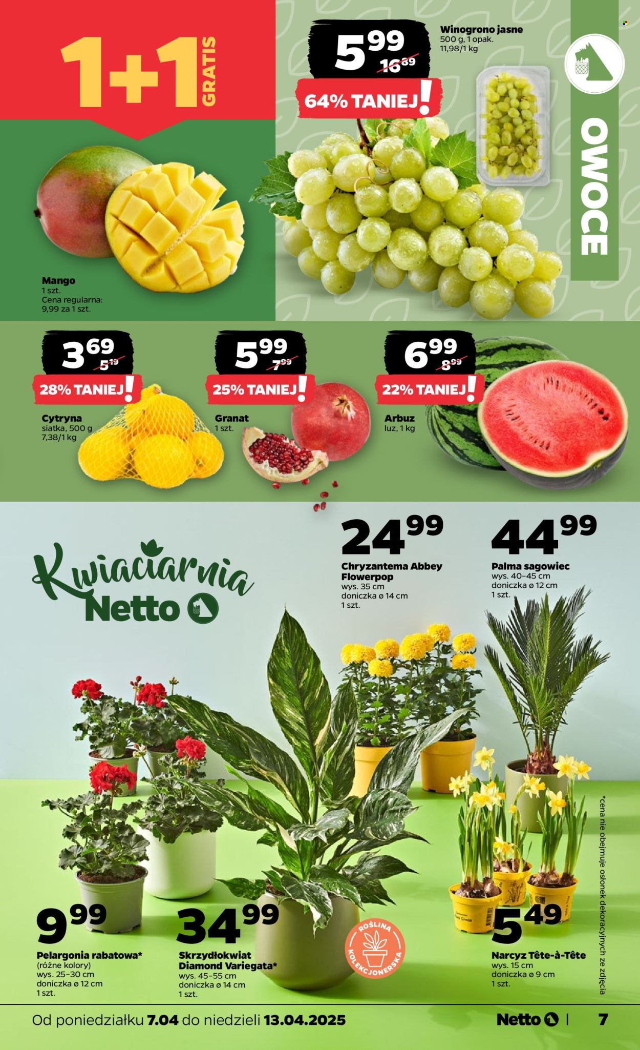 Gazetka Netto - 7.04.2025 - 13.04.2025. Strona 7
